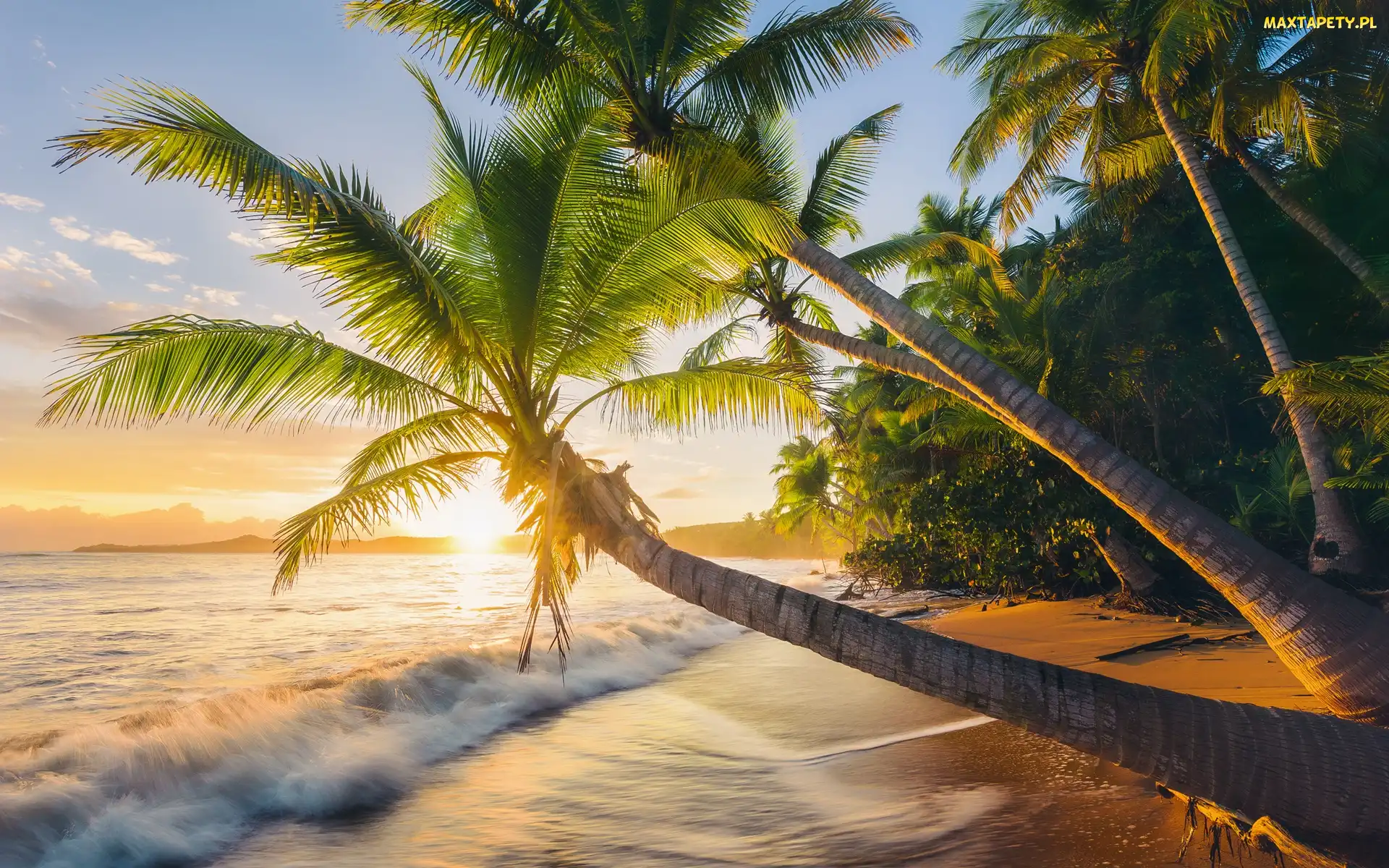 Fale, Wschód słońca, Morze, Buccaneer Beach, Portoryko, Plaża, Puerto Rico, Palmy
