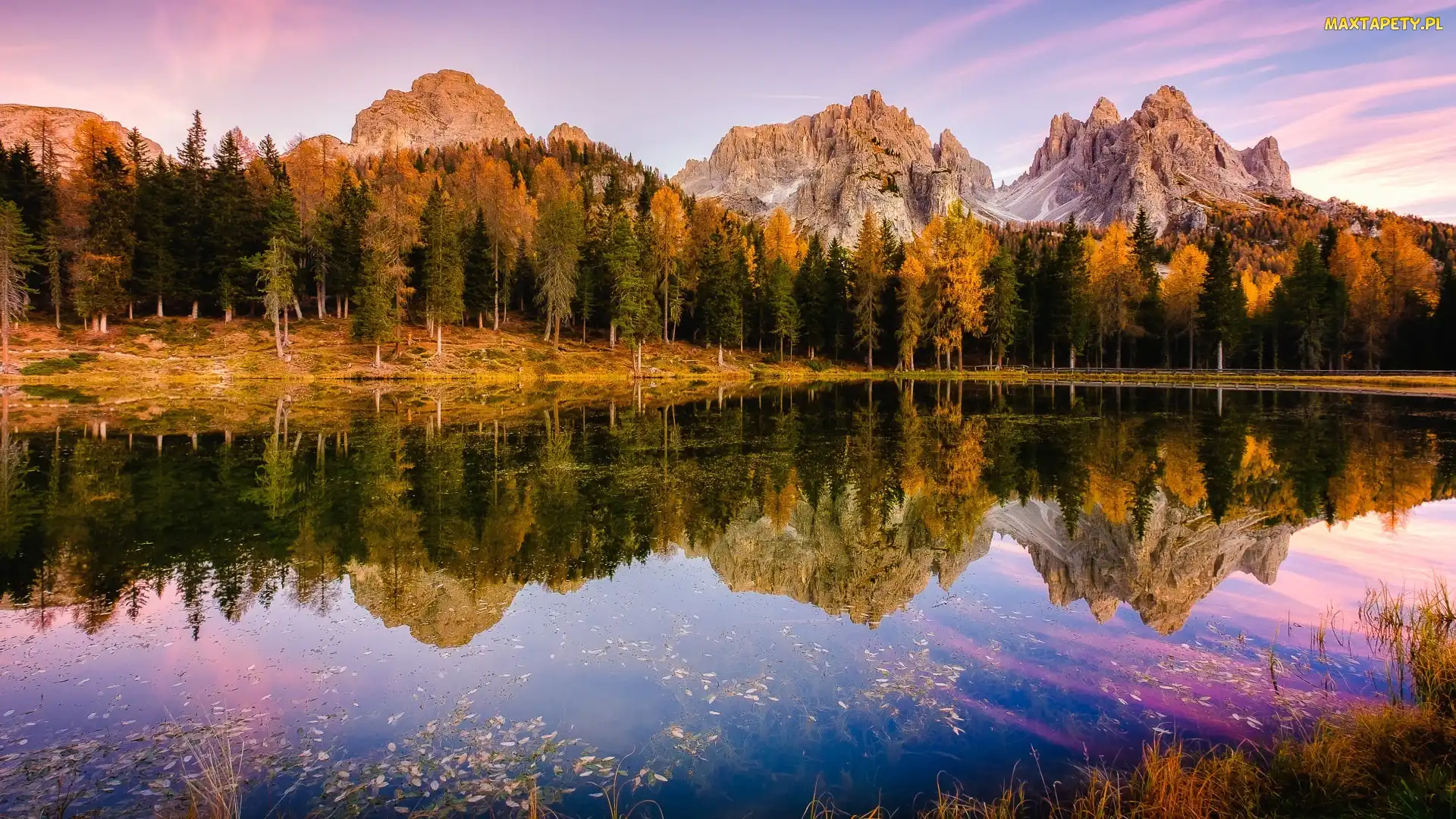 Góry, Jesień, Antorno Lake, Jezioro, Włochy, Las, Drzewa, Prowincja Belluno, Dolomity