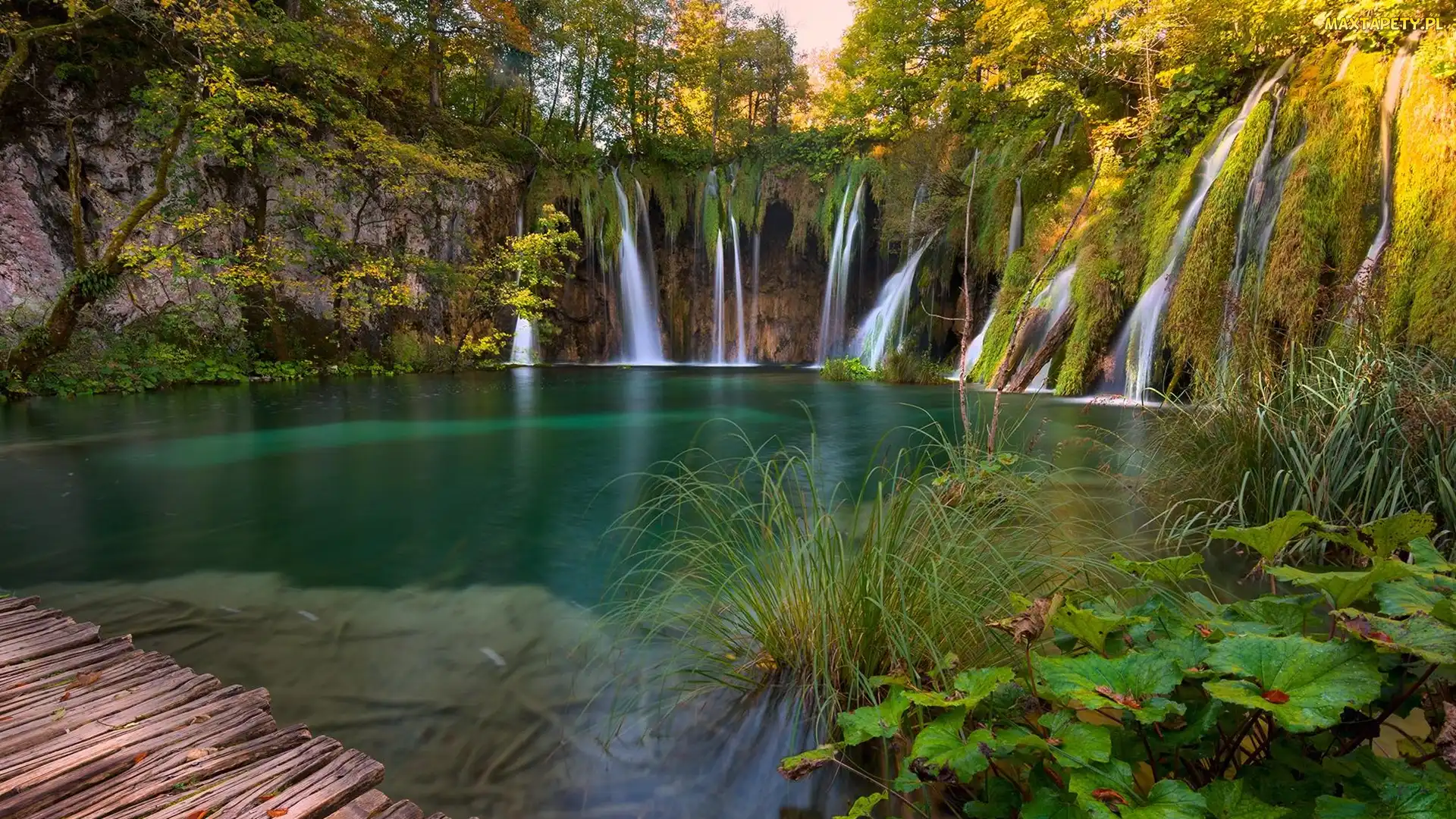 Chorwacja, Rośliny, Jezioro, Wodospad, Park Narodowy Jezior Plitwickich, Drzewa