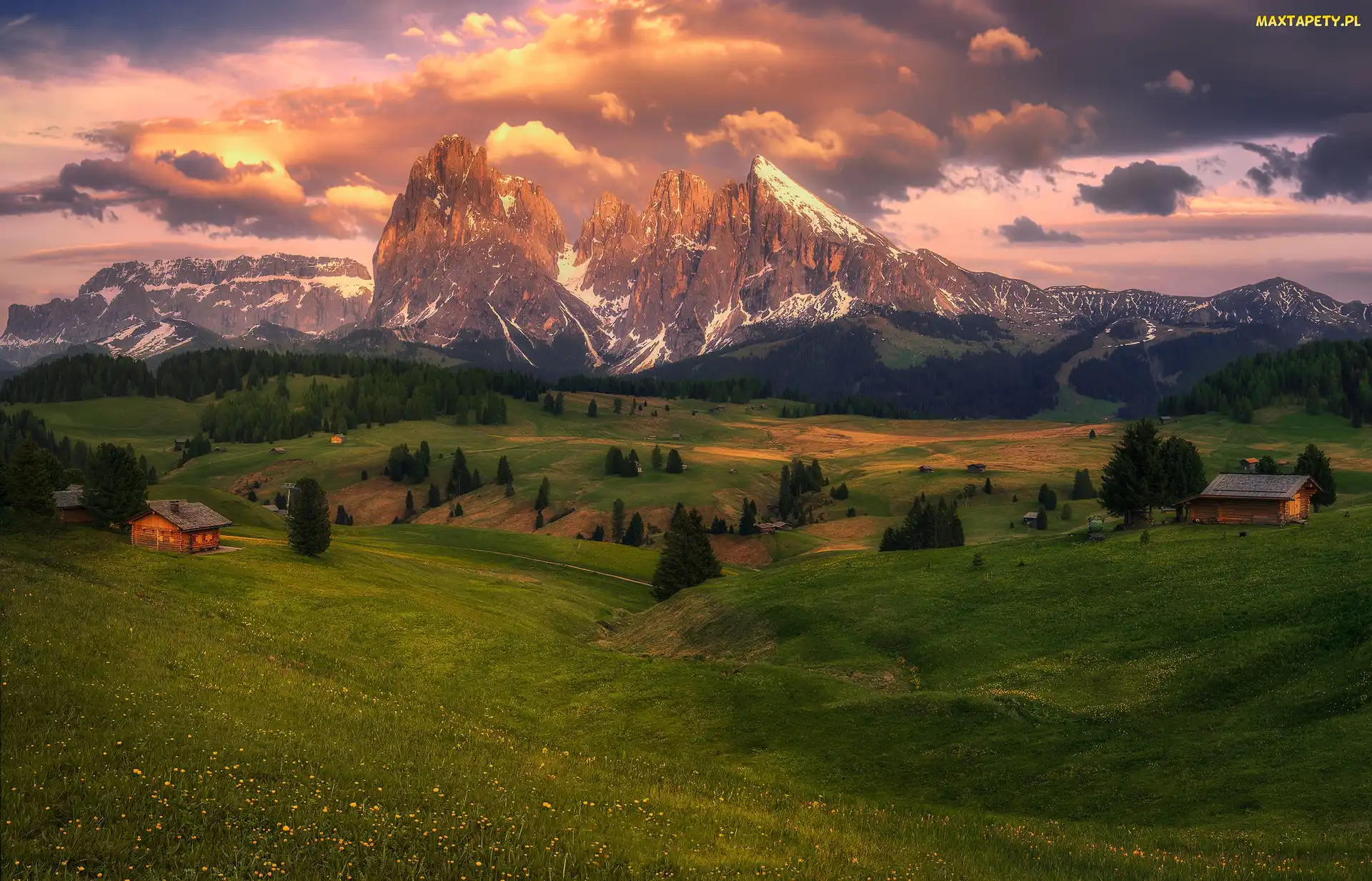 Drewniane, Drzewa, Dolomity, Góry Sassolungo, Włochy, Dolina Val Gardena, Płaskowyż Seiser Alm, Łąki, Domki