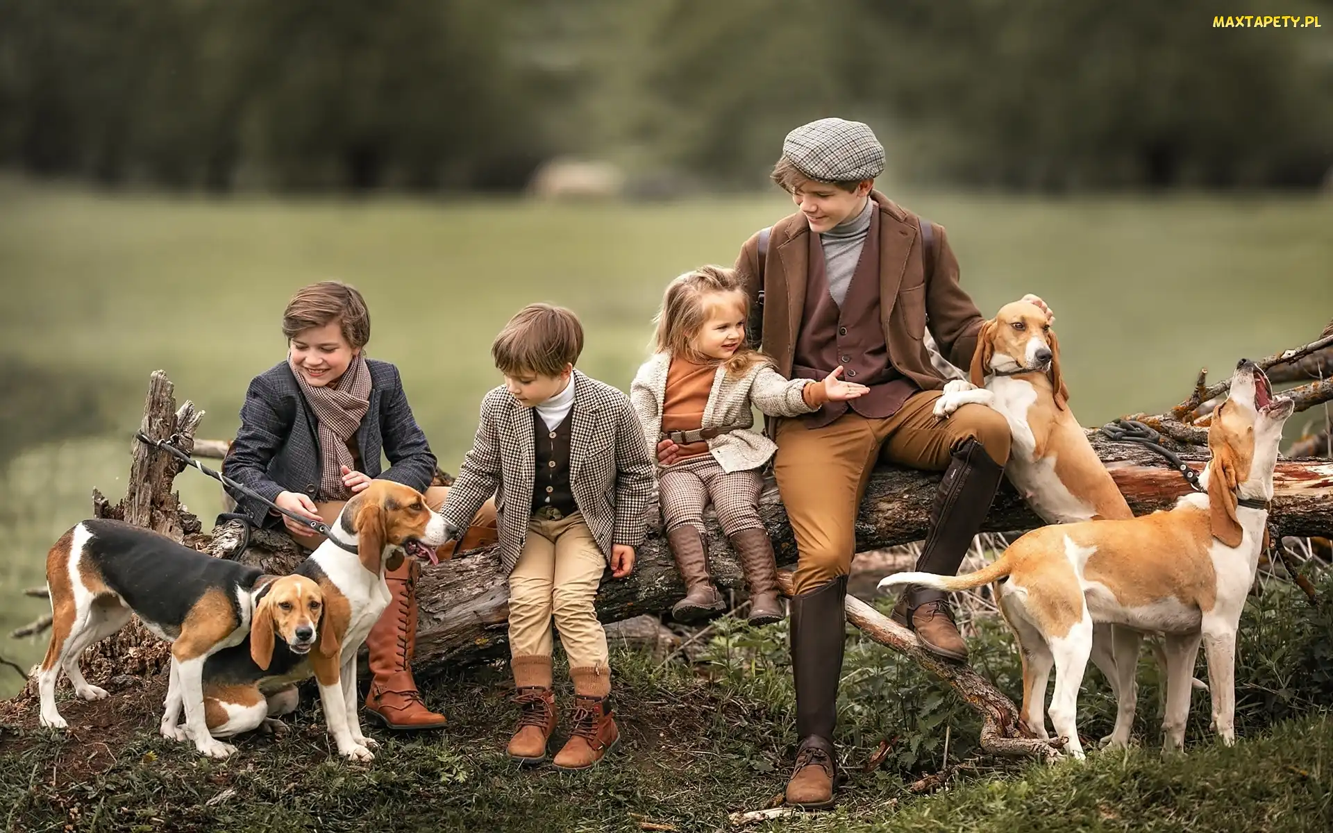 Konar, Beagle, Dzieci, Psy