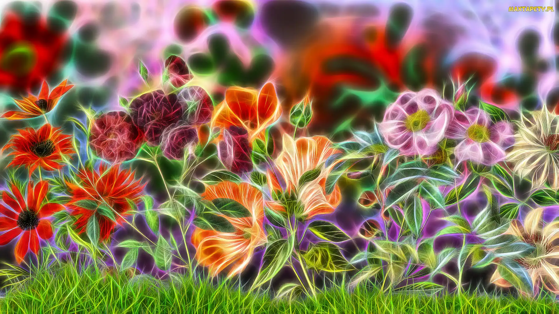 Kwiaty, Fractalius, Różnobarwne