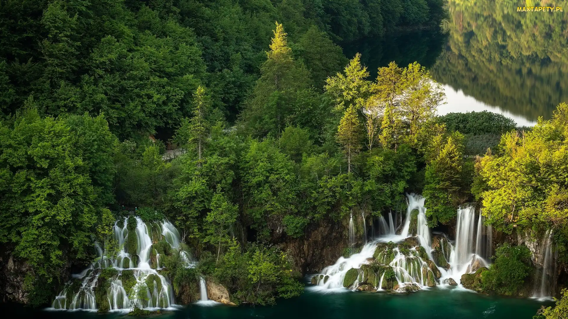 Rośliny, Jezioro, Plitwice, Drzewa, Wodospady, Chorwacja, Park Narodowy Jezior Plitwickich