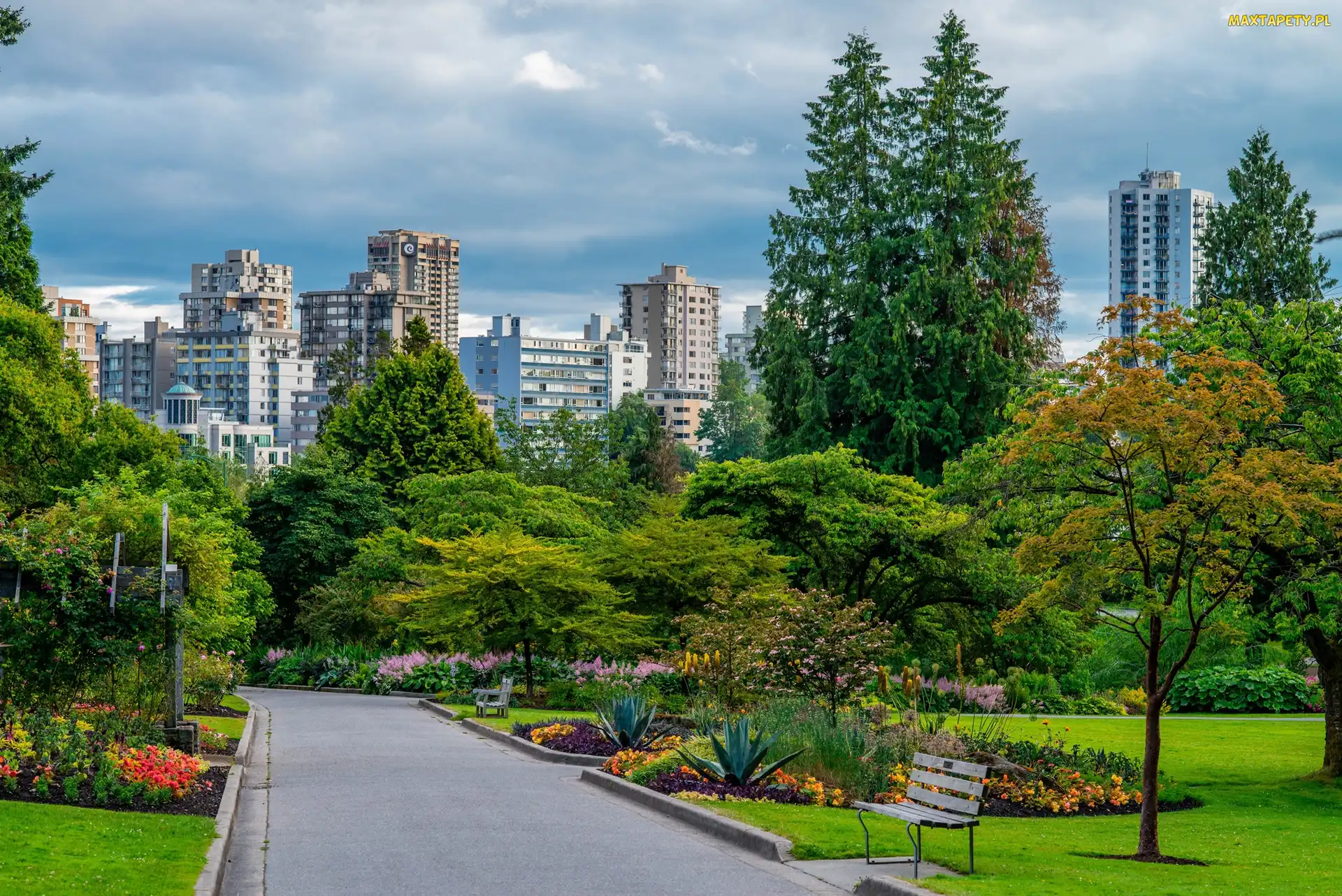 Vancouver, Alejki, Kanada, Stanley Park, Ławka, Park, Domy, Drzewa