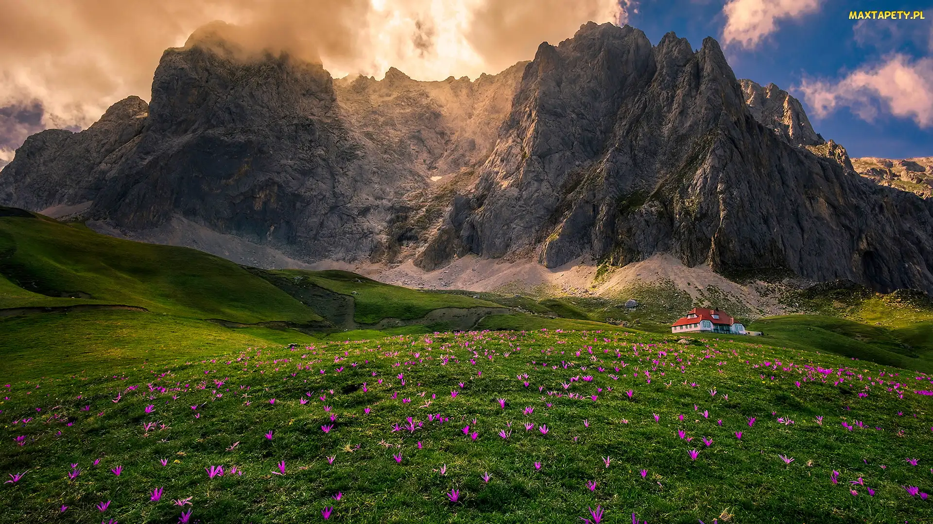 Kwiaty, Masyw Picos de Europa, Góry Kantabryjskie, Hiszpania, Dom, Łąka, Asturia, Polana