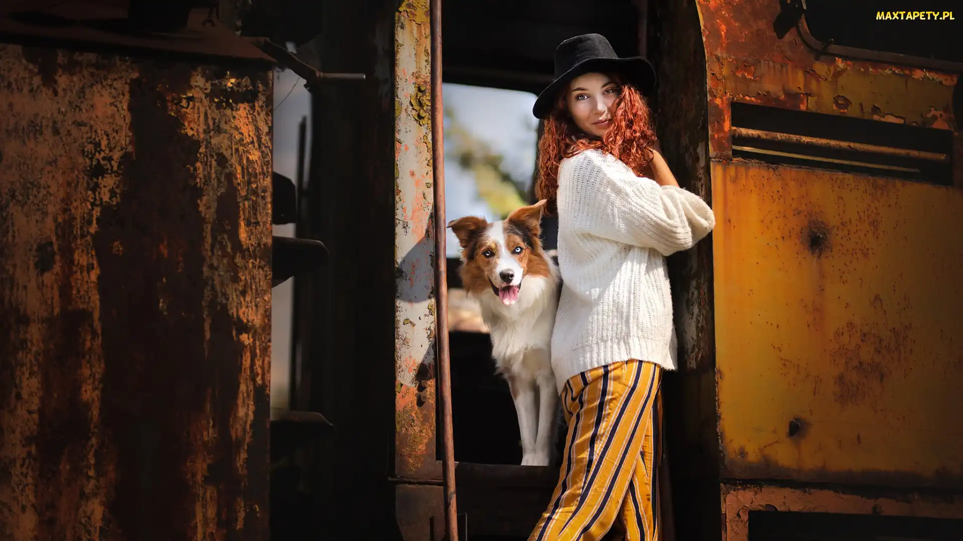 Kapelusz, Dziewczyna, Wagon, Stary, Pies, Border collie
