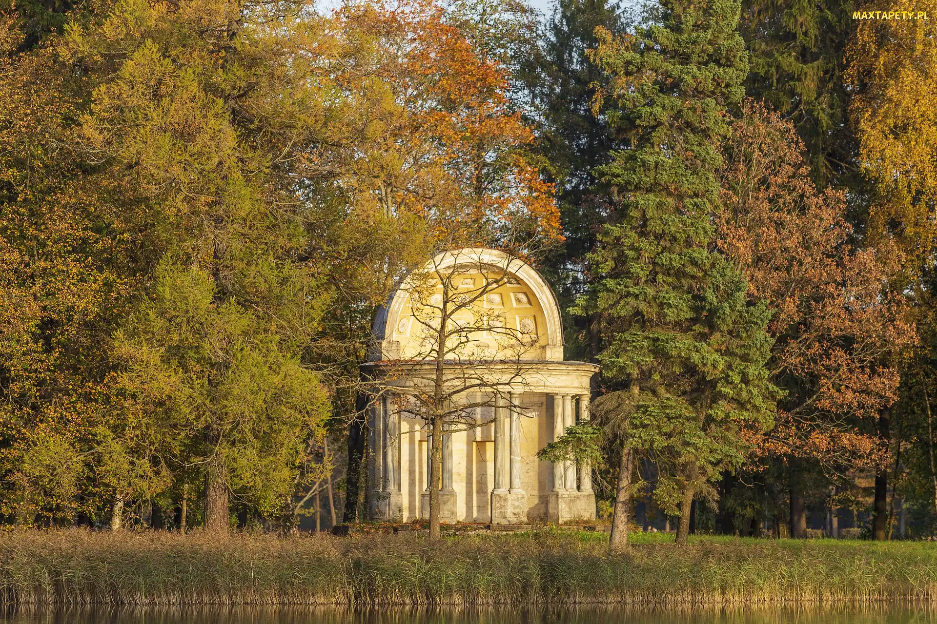 Park, Kolumny, Jesień, Budowla, Glorieta, Drzewa, Staw, Altana