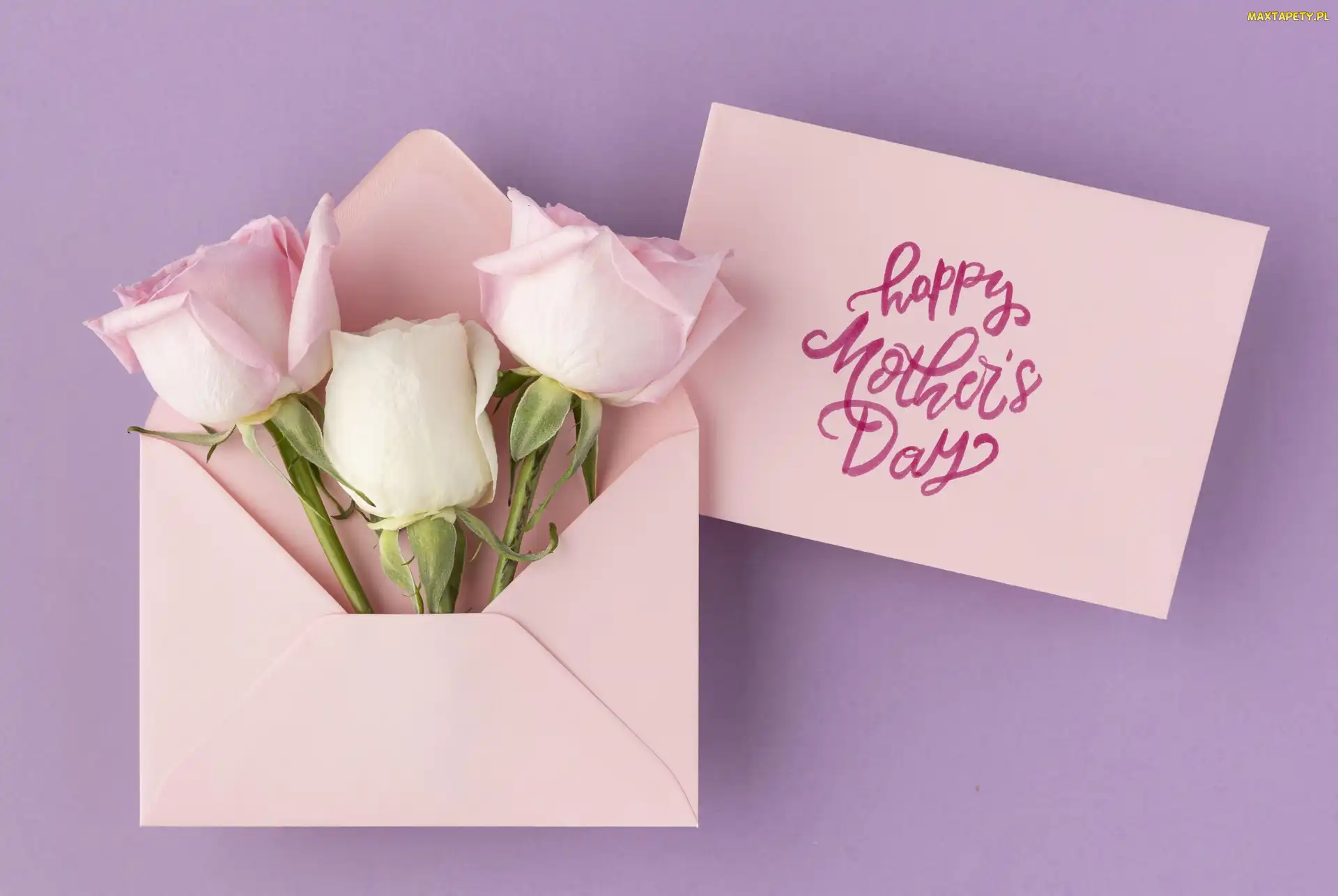 Tło, Róże, Kwiaty, Fioletowe, Kartka, Różowa, Napis, Happy Mothers Day, Dzień Matki, Koperta