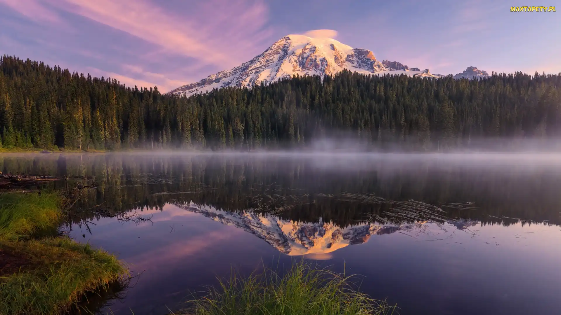 Odbicie, Jezioro, Góra, Las, Bench Lake, Stany Zjednoczone, Stratowulkan Munt Rainier, Stan Waszyngton, Mgła, Park Narodowy Mount Rainier, Drzewa