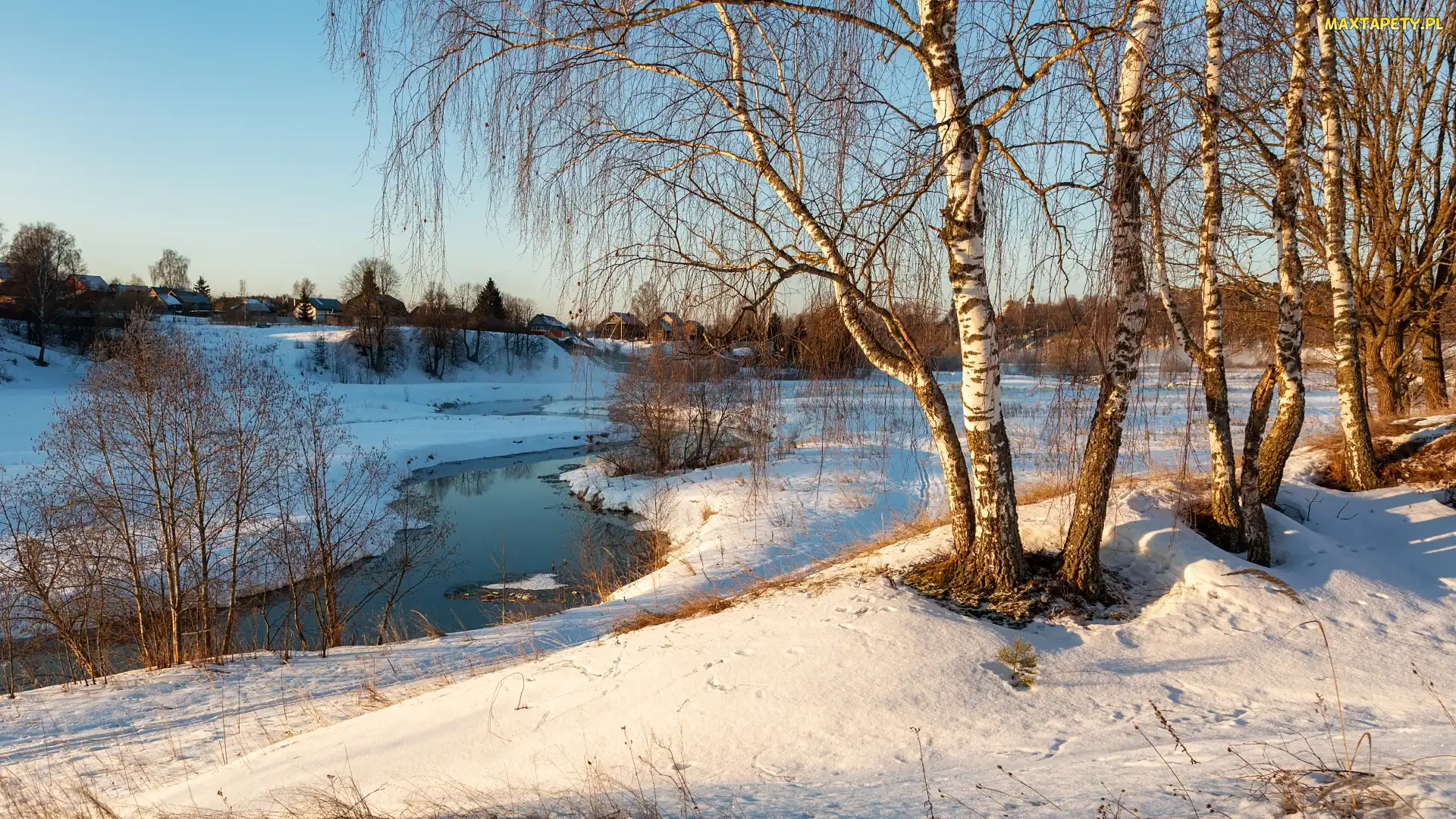 Rzeka, Brzozy, Drzewa, Śnieg, Zima