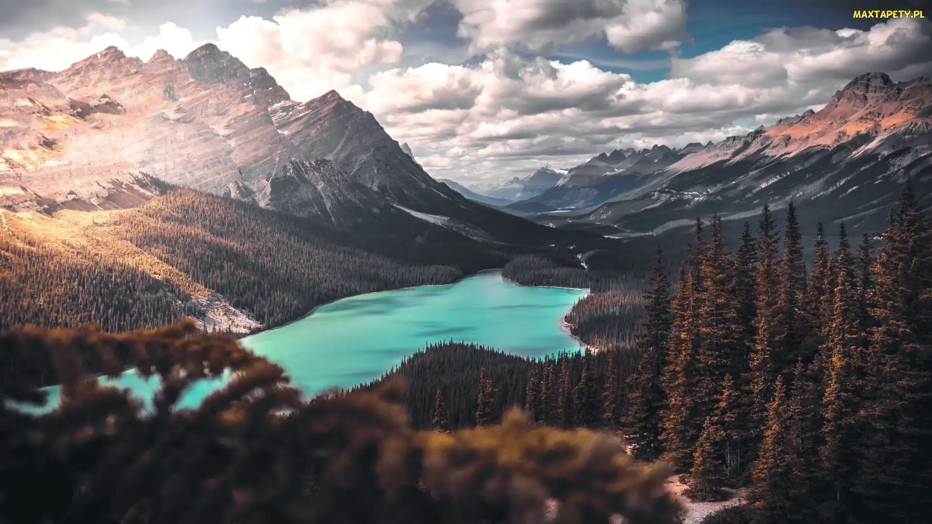 Park Narodowy Banff, Alberta, Drzewa, Kanada, Chmury, Lasy, Jezioro, Peyto Lake, Góry Skaliste