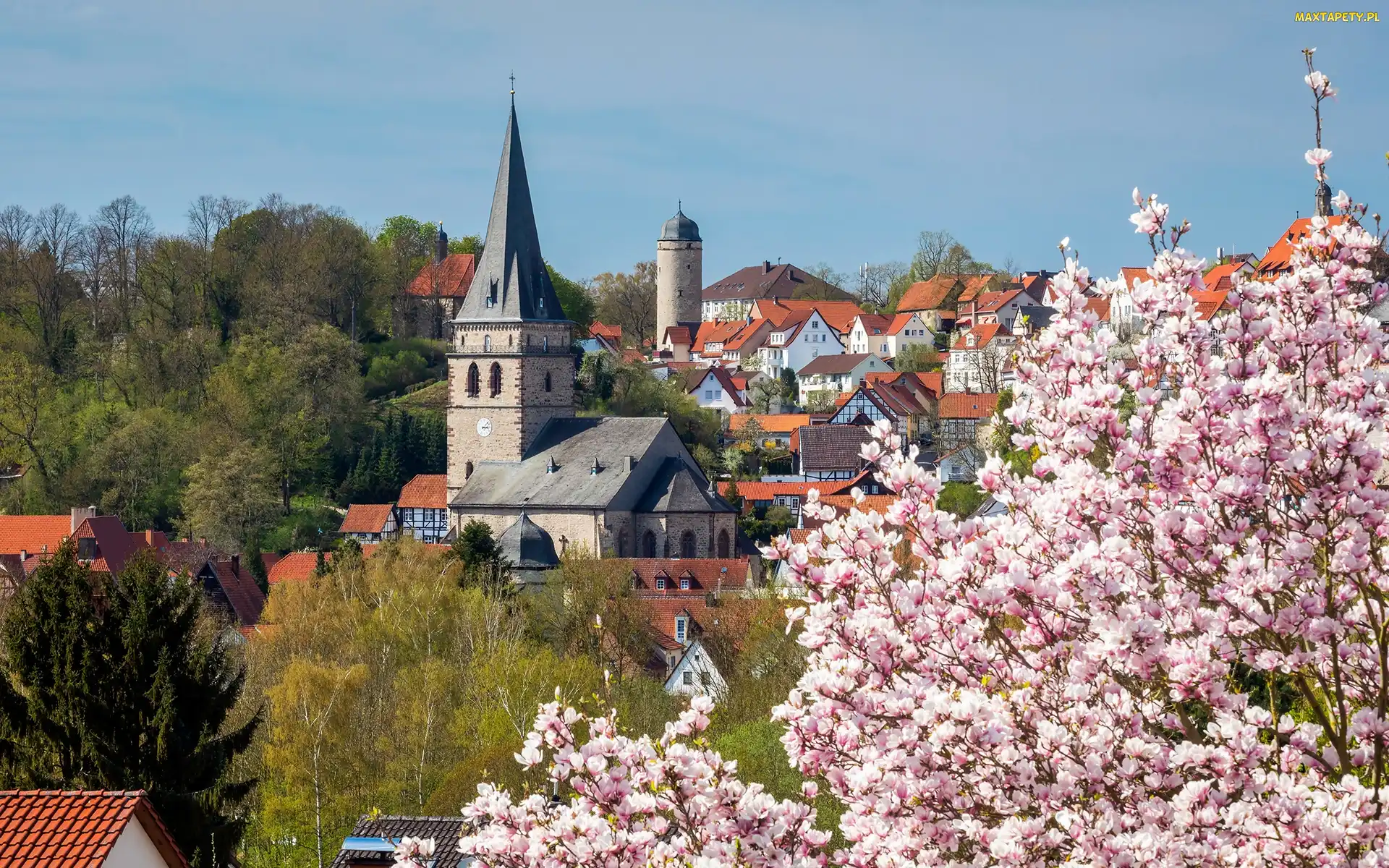 Niemcy, Drzewa, Kościół, Wiosna, Domy, Magnolia, Nadrenia Północna-Westfalia, Miasto Warburg, Kwitnąca