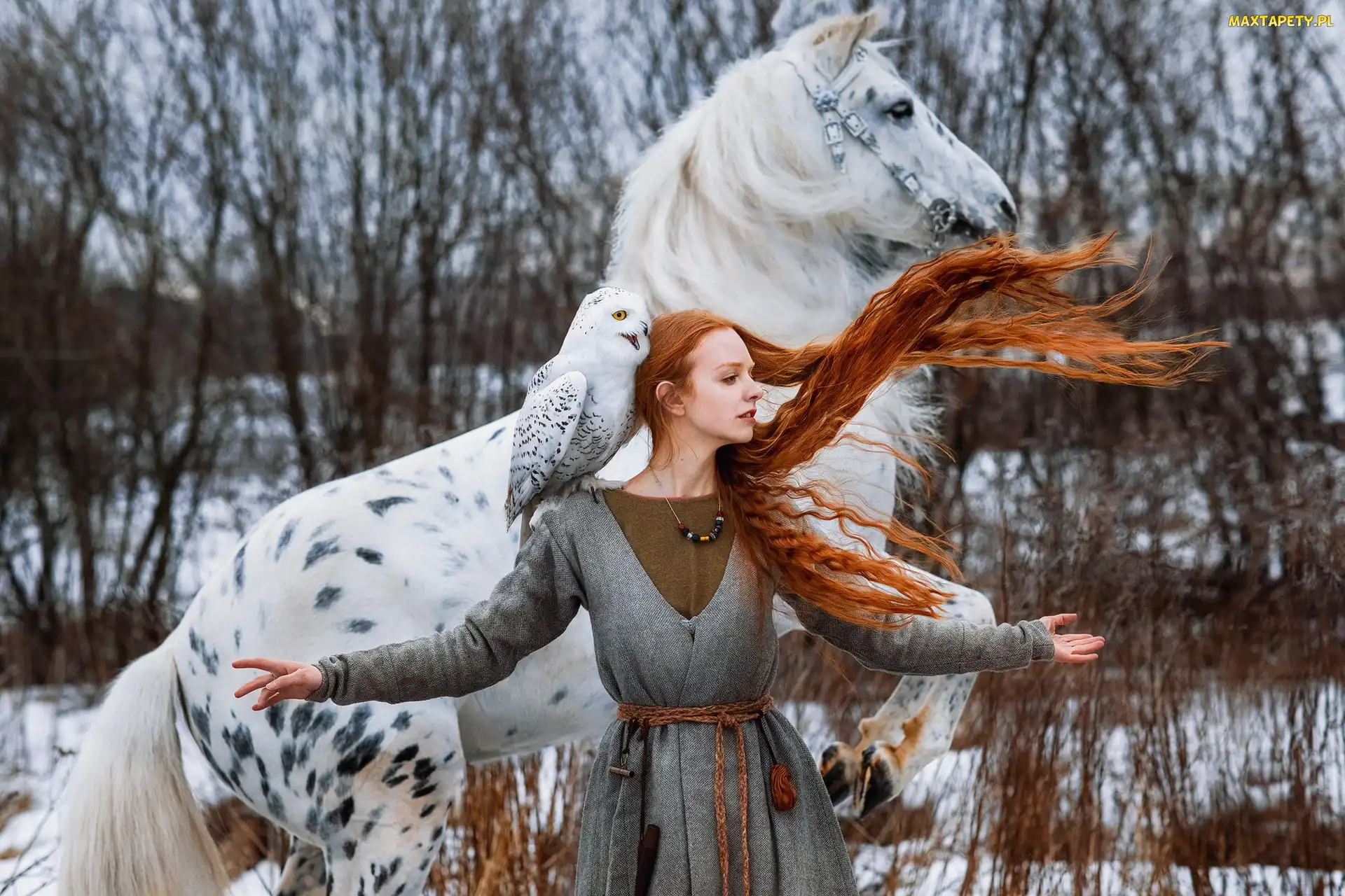 Koń, Sowa śnieżna, Rudowłosa, Kobieta