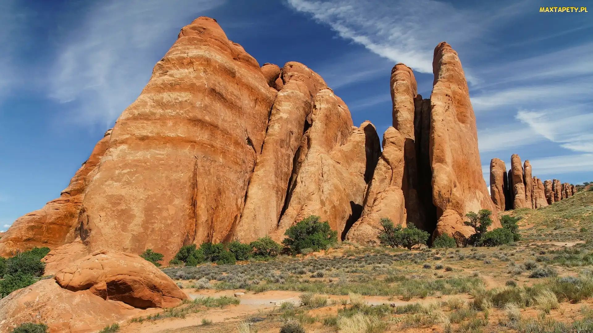Drzewa, Konar, Skały, Suchy, Stan Utah, Krzewy, Stany Zjednoczone, Park Narodowy Arches