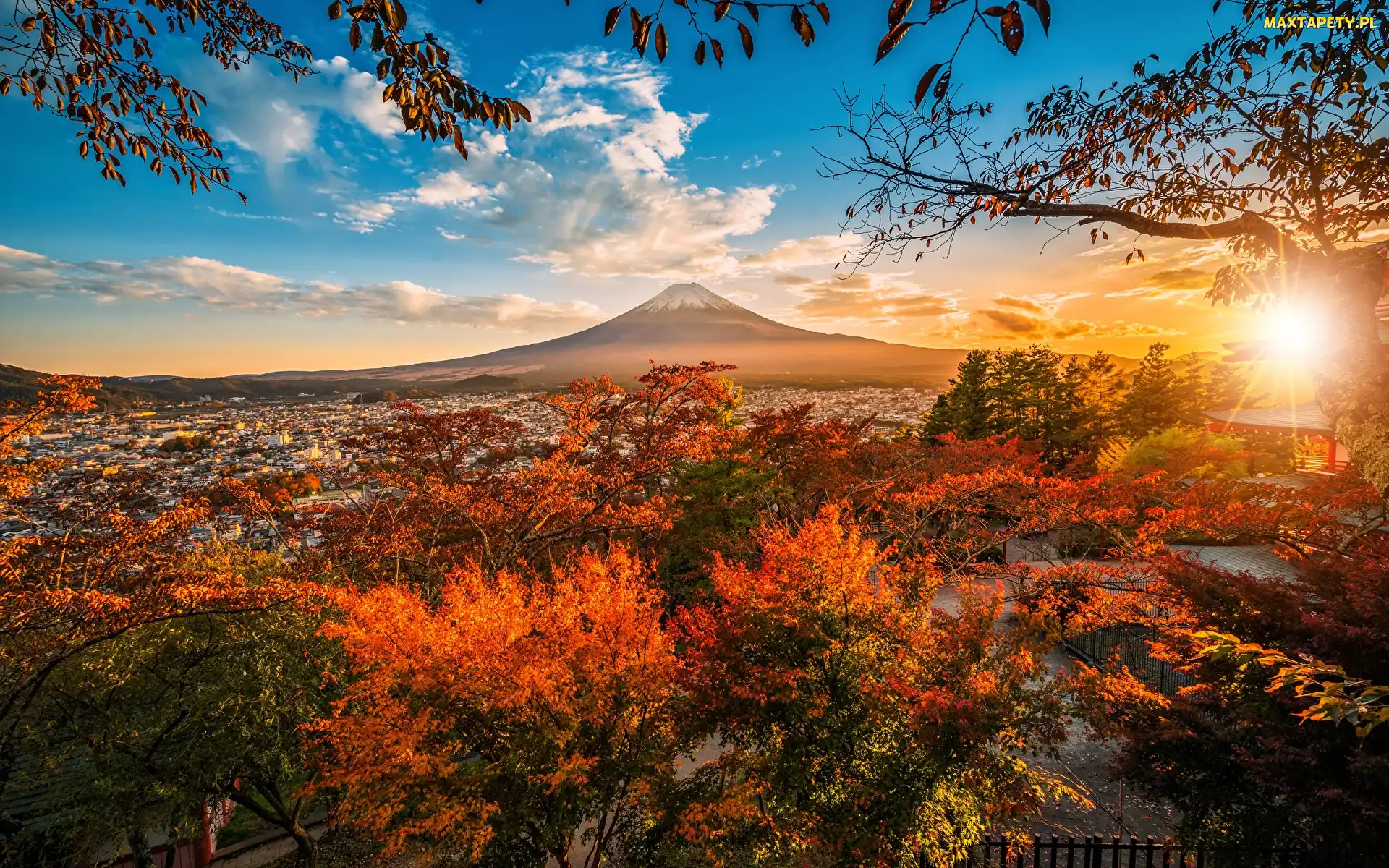 Drzewa, Krzewy, Wyspa Honsiu, Jesień, Góra Fudżi, Japonia, Miasto Fujiyoshida