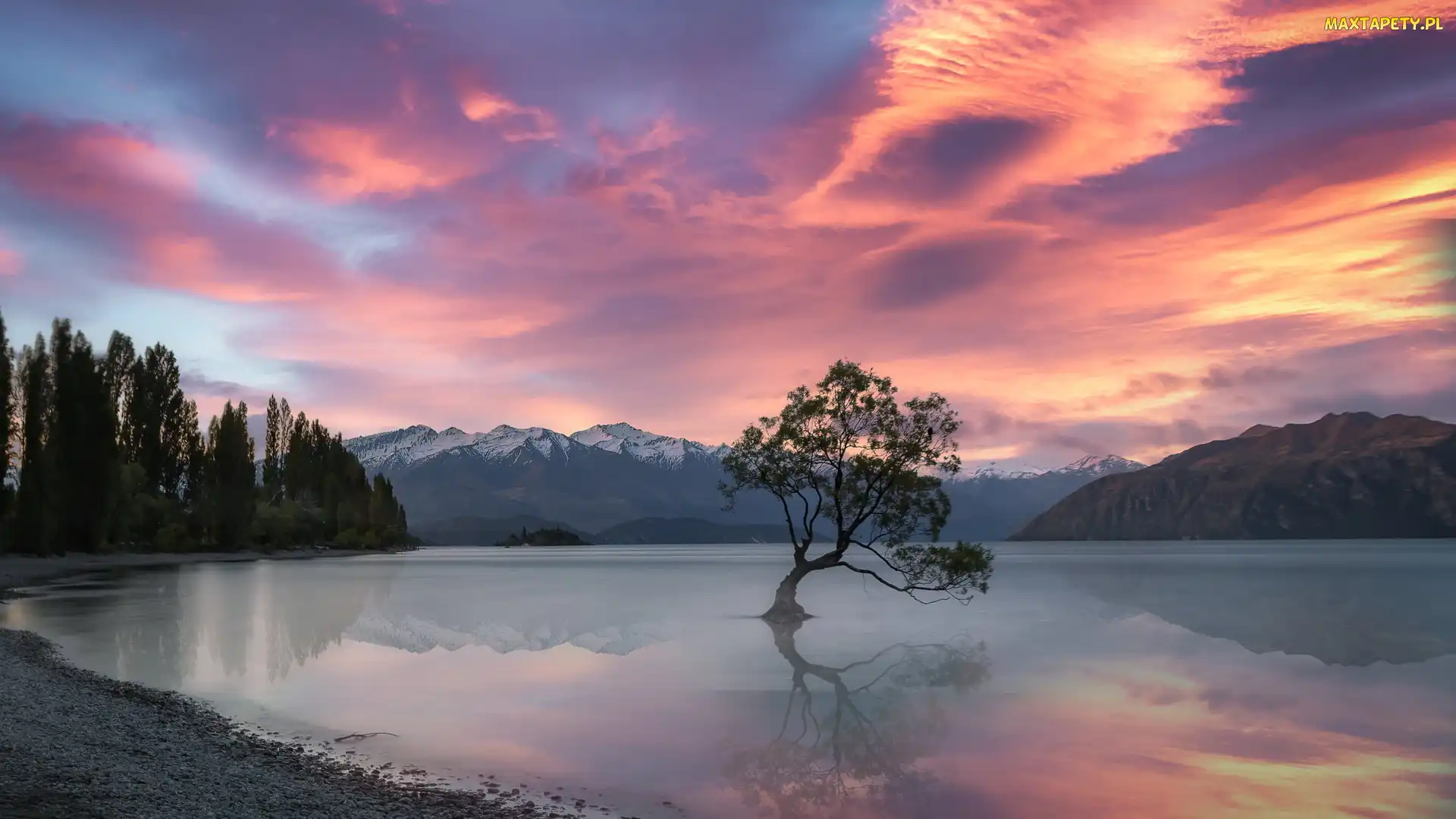 Jezioro Wanaka, Region Otago, Drzewo, Nowa Zelandia, Góry, Pochylone, Drzewa, Zachód słońca, Chmury