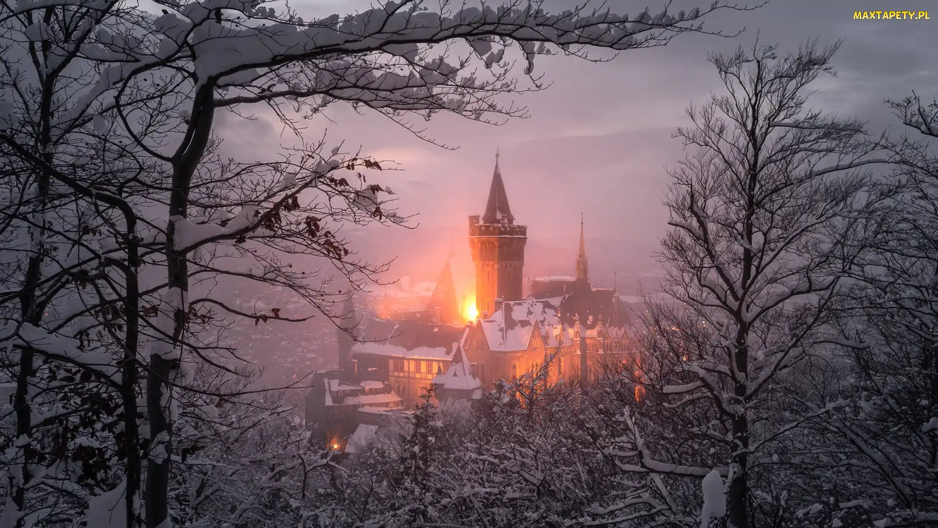 Drzewa, Zima, Saksonia, Światła, Zamek Wernigerode, Niemcy, Wernigerode