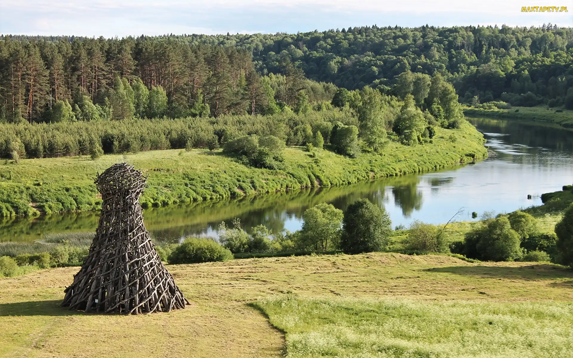 Rzeka, Drzewa, Łąka