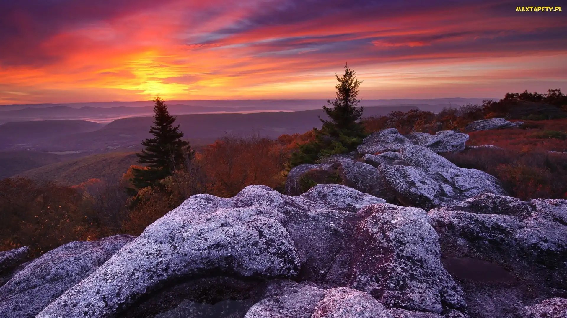 Rezerwat przyrody Bear Rocks, Wirginia Zachodnia, Stany Zjednoczone, Zachód słońca, Skały, Góry, Drzewa, Odbszar Dolly Sods Wilderness