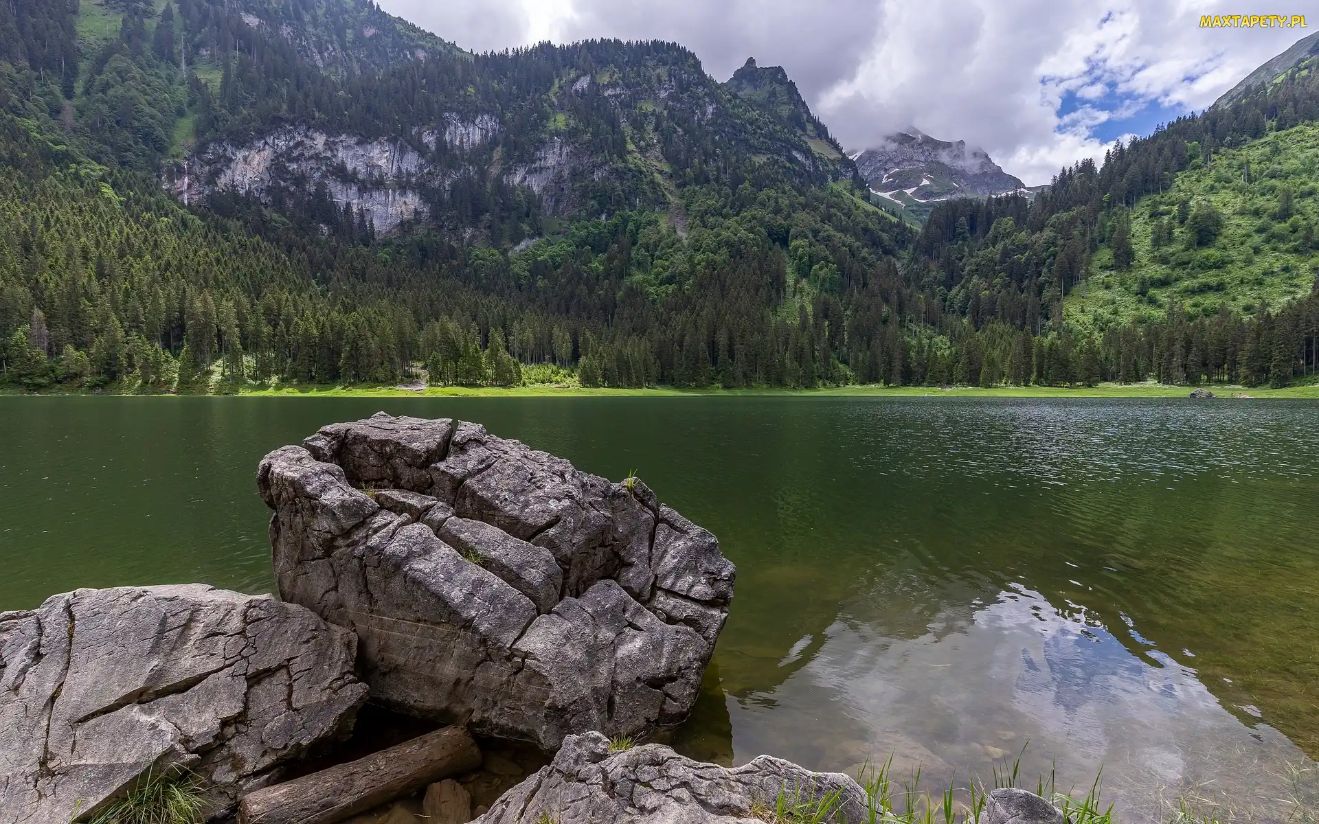 Szwajcaria, Lasy, Drzewa, Kanton Sankt Gallen, Kamienie, Voralpsee, Głazy, Góry, Jezioro, Alpy