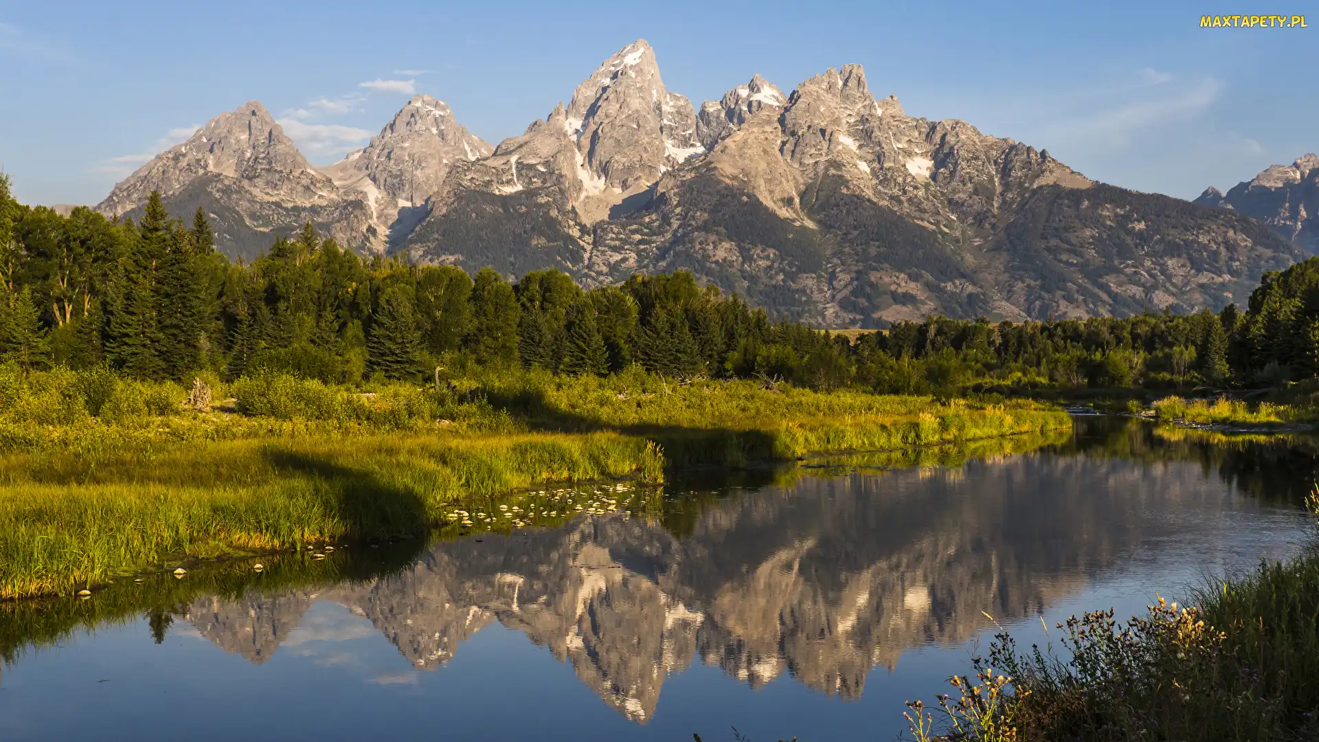 Rzeka, Drzewa, Park Narodowy Grand Teton, Teton Range, Stan Wyoming, Góry, Stany Zjednoczone, Odbicie