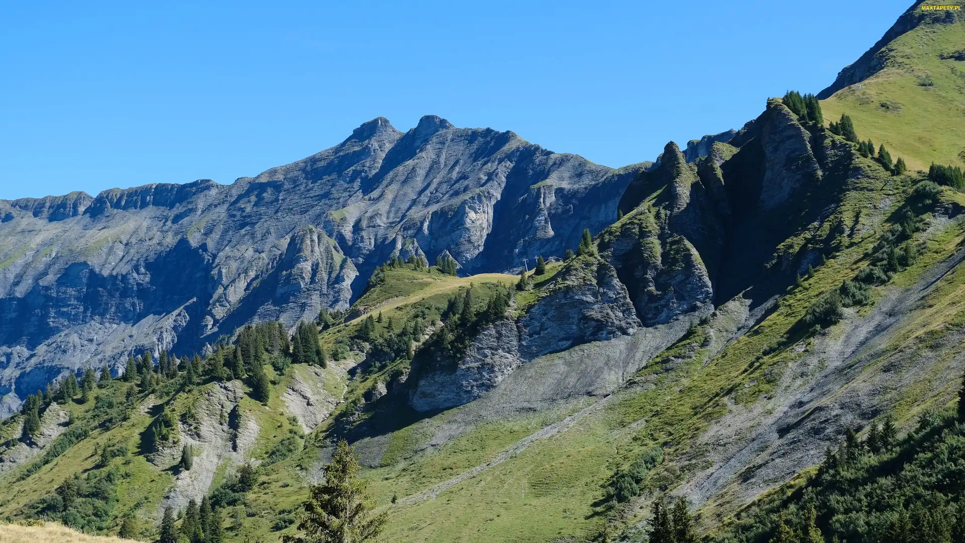 Zbocze, Drzewa, Góry