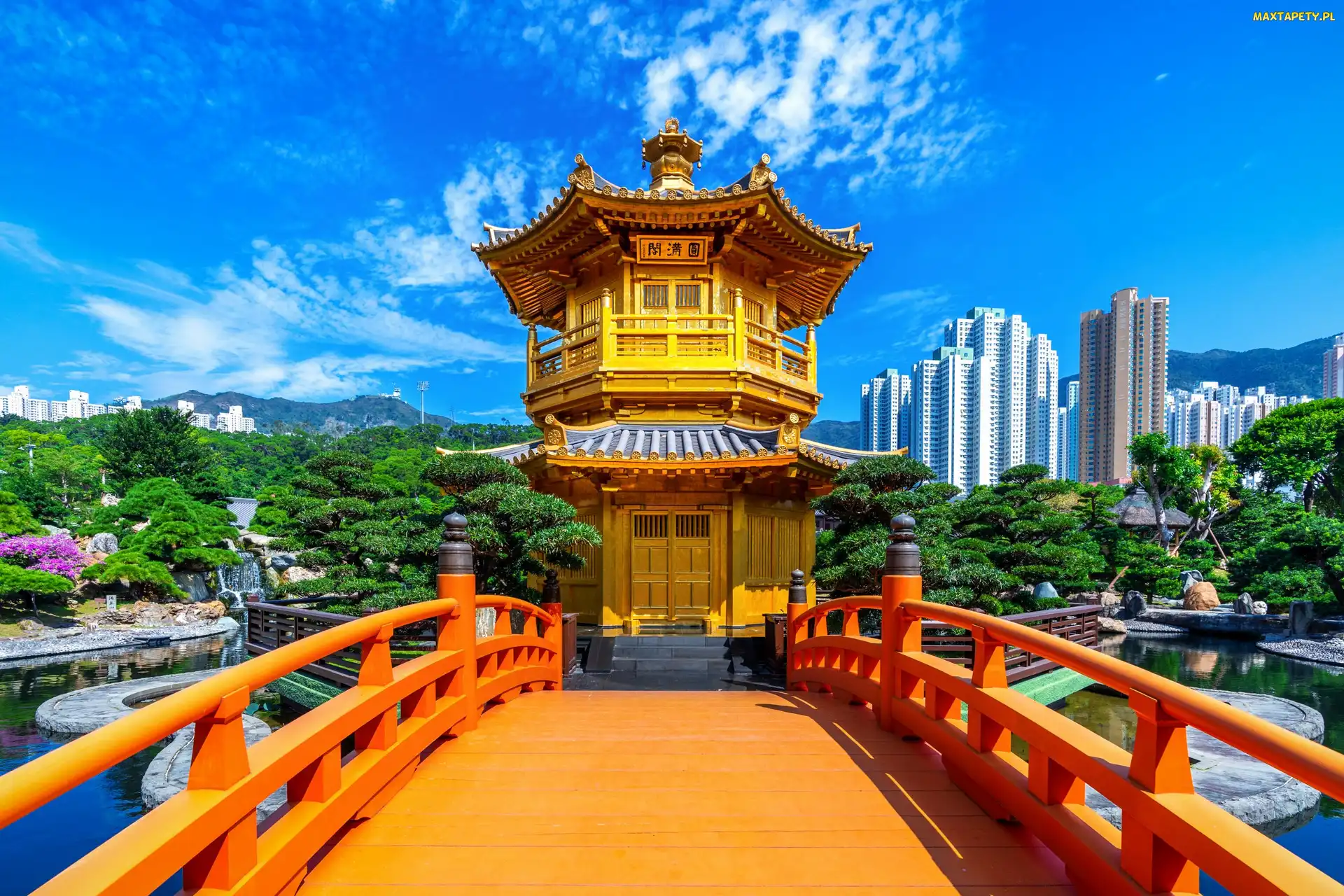 Golden Pavilion Chi Lin Nunnery Temple, Most, Świątynia, Chi Lin Nunnery, Hongkong, Ogród, Chiny, Diamond Hill