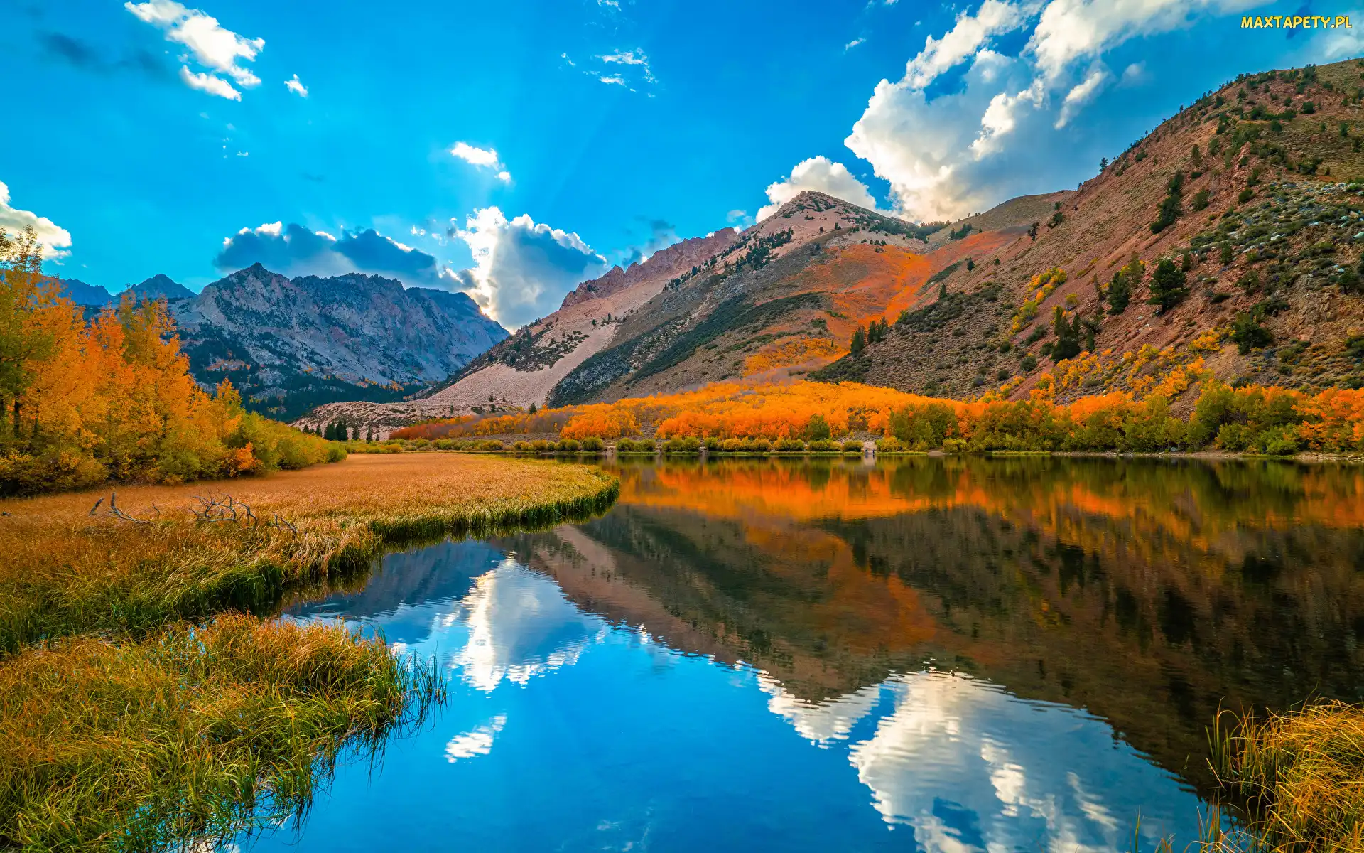 Stany Zjednoczone, Jesień, Drzewa, Kalifornia, Góry, North Lake, Sierra Nevada, Trawy, Jezioro, Pożółkłe