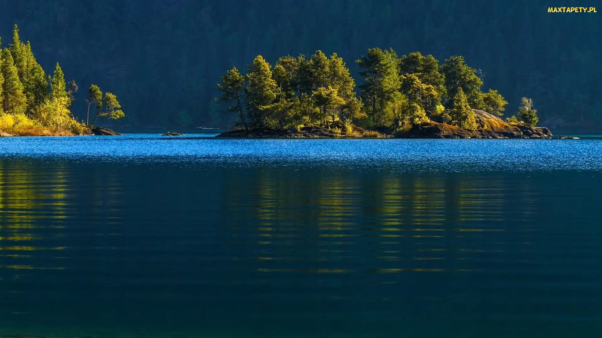 Jezioro, Las, Wyspa, Drzewa