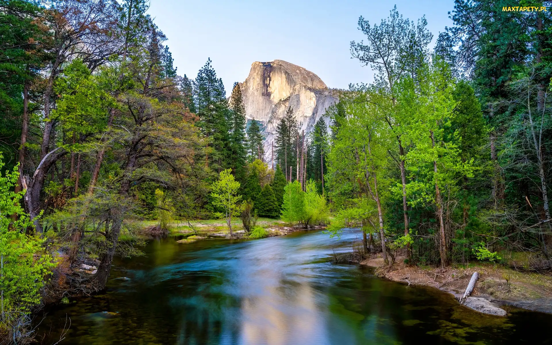 Stany Zjednocznone, Drzewa, Rzeka, Wiosna, Merced River, Szczyt Half Dome, Kalifornia, Park Narodowy Yosemite, Góry