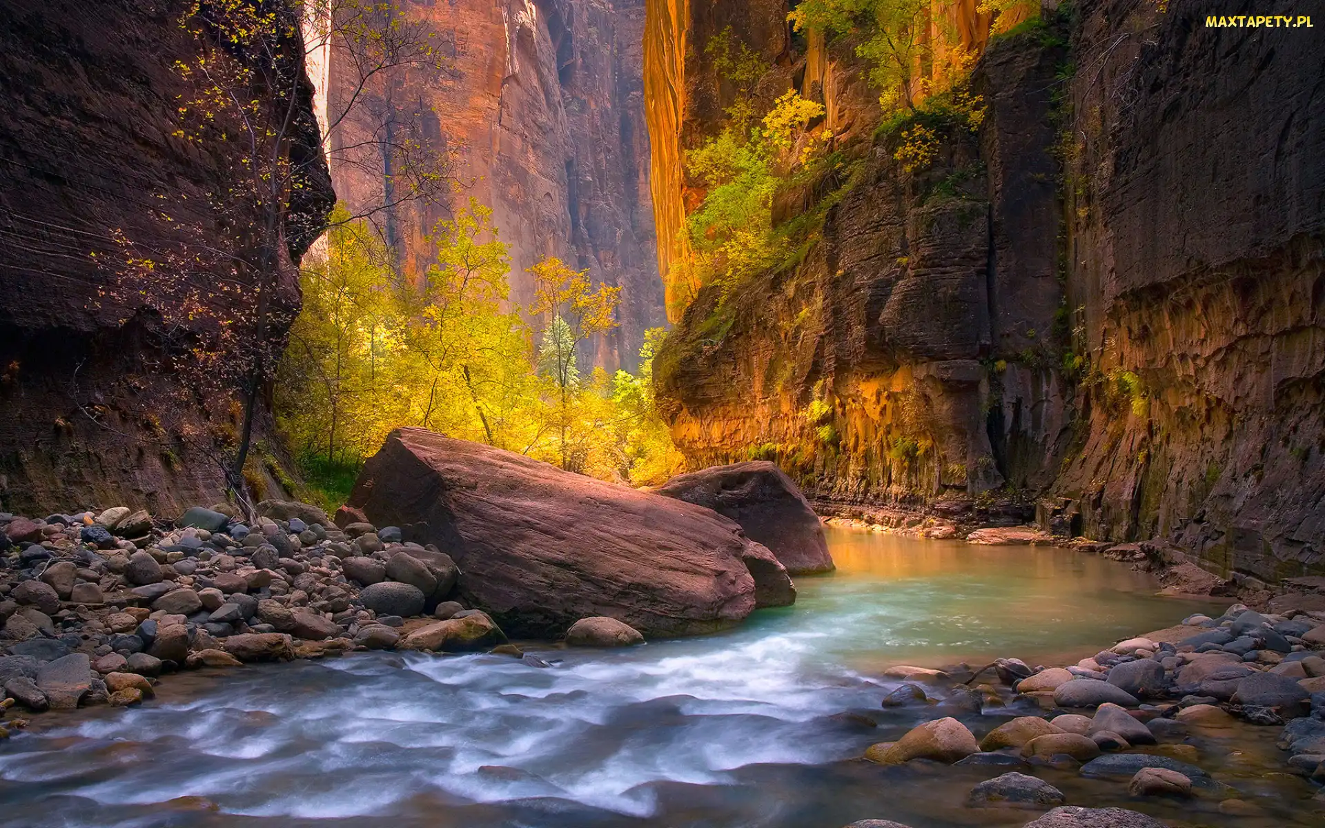 Stan Utah, Skały, Stany Zjednoczone, Kanion Zion Narrows, Kamienie, Park Narodowy Zion, Rzeka Virgin River, Drzewa