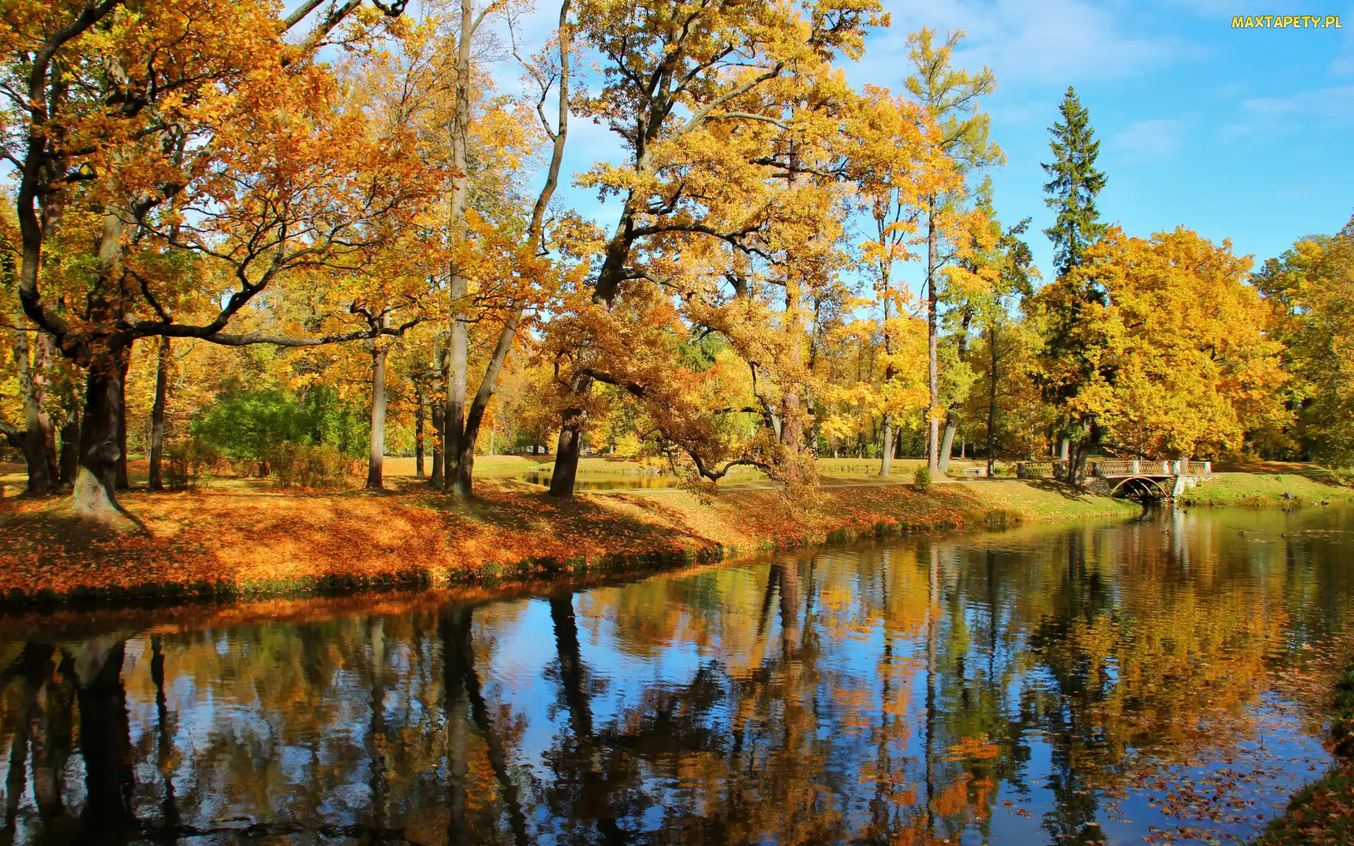Staw, Odbicie, Jesień, Liście, Mostek, Dzień, Park, Słoneczny, Niebo, Drzewa, Pożółkłe