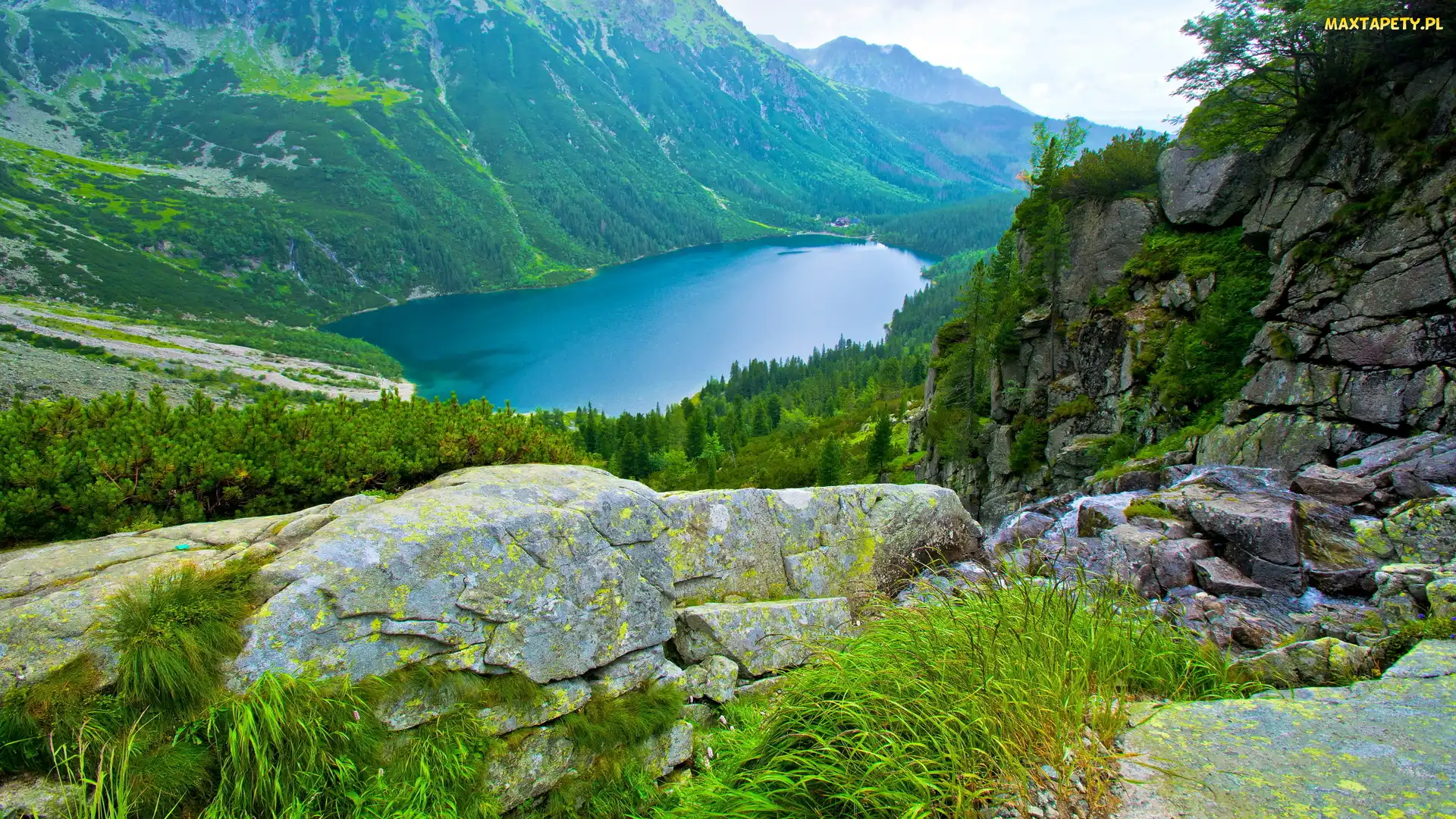Dolina Rybiego Potoku, Morskie Oko, Tatry, Polska, Jezioro, Góry, Skały