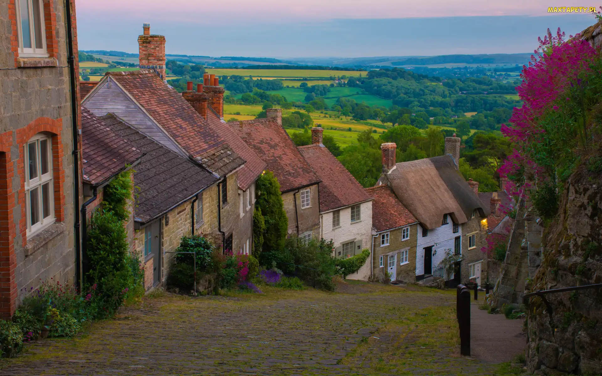 Roślinność, Domy, Hrabstwo Dorset, Anglia, Shaftesbury, Ulica