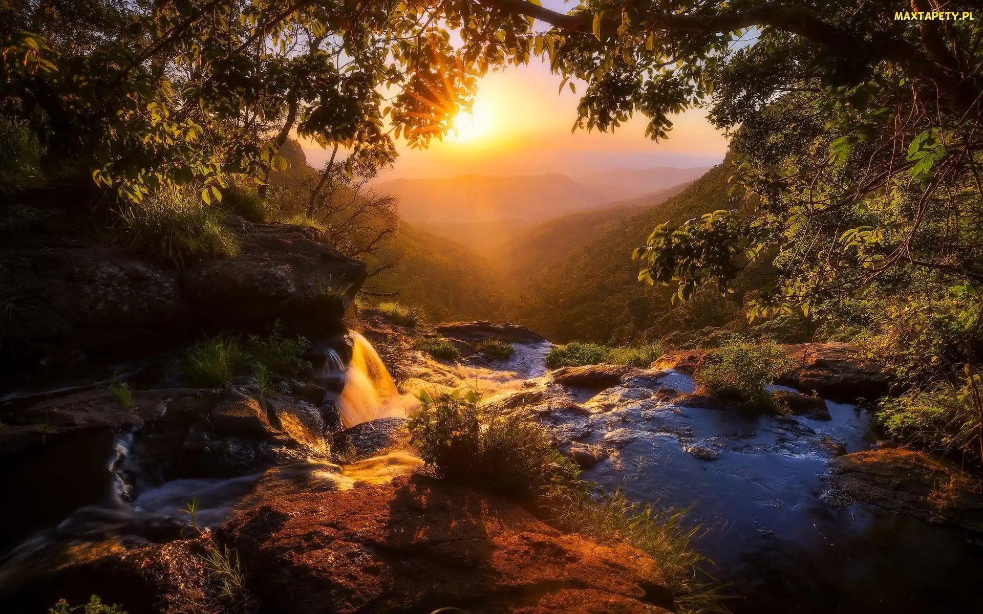 Góry, McPherson Range, Australia, Toolona Creek, Wzgórza, Roślinność, Queensland, Drzewa, Zachód słońca, Park Narodowy Lamington, Rzeka