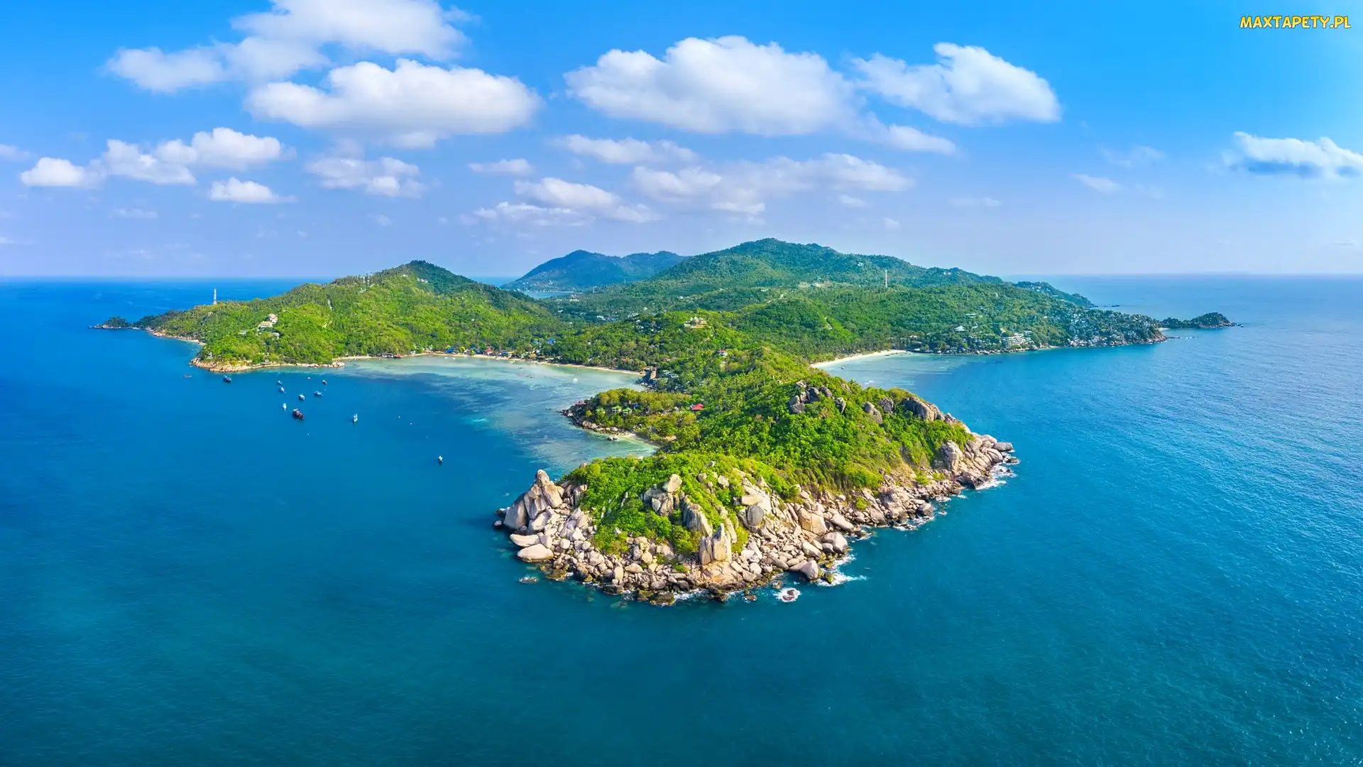 Zadrzewiona, Tajlandia, Prowincja Surat Thani, Wyspa Ko Tao, Morze