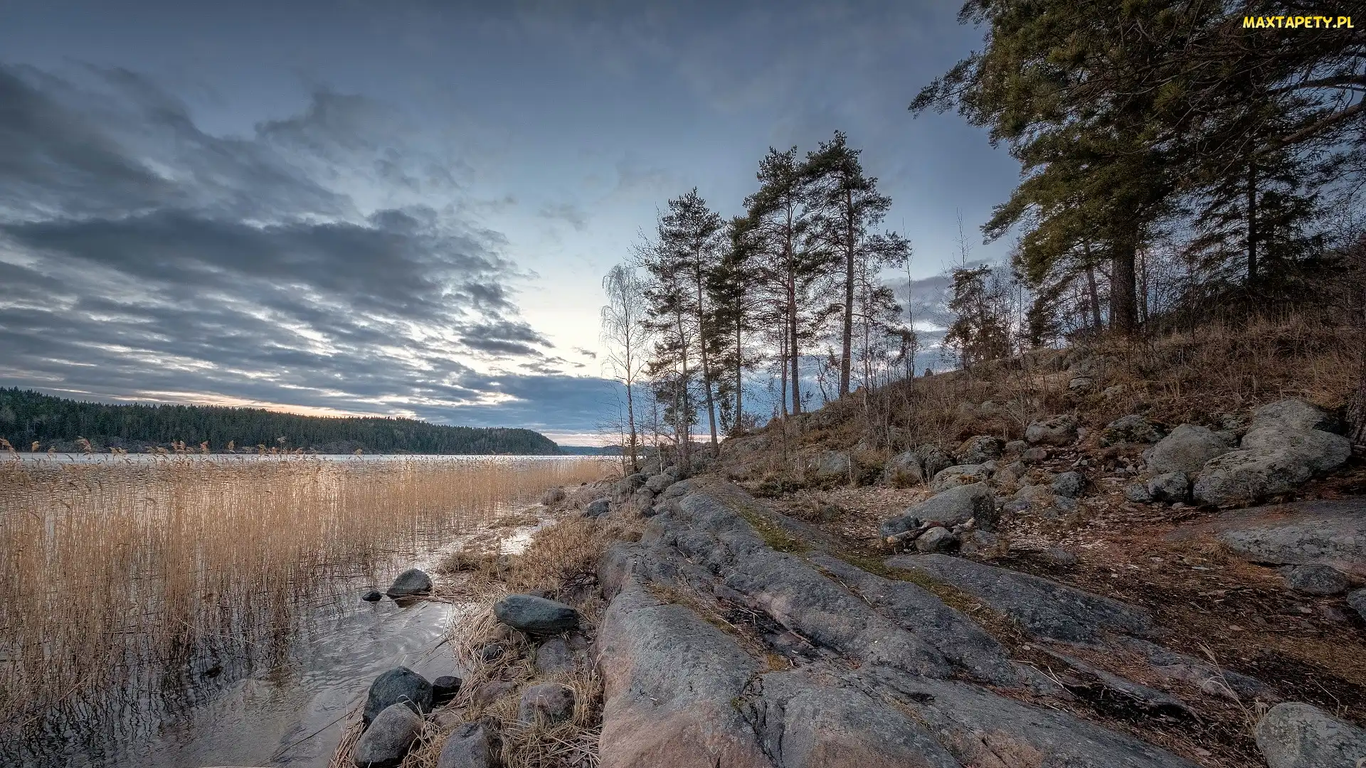 Drzewa, Jezioro Ładoga, Zachód słońca, Skały, Karelia, Trawy, Rosja, Zatoka Kiryavalahti