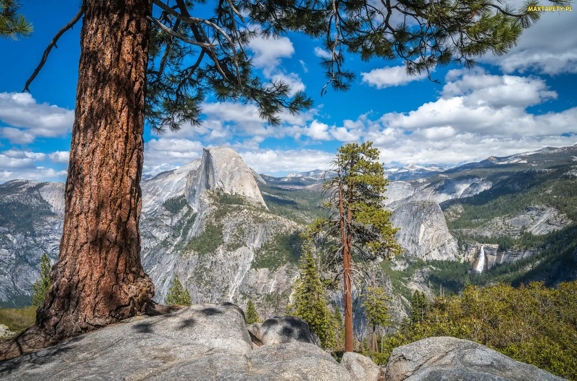 Szczyt Half Dome, Góry, Stany Zjednoczone, Sosny, Park Narodowy Yosemite, Kalifornia, Drzewa