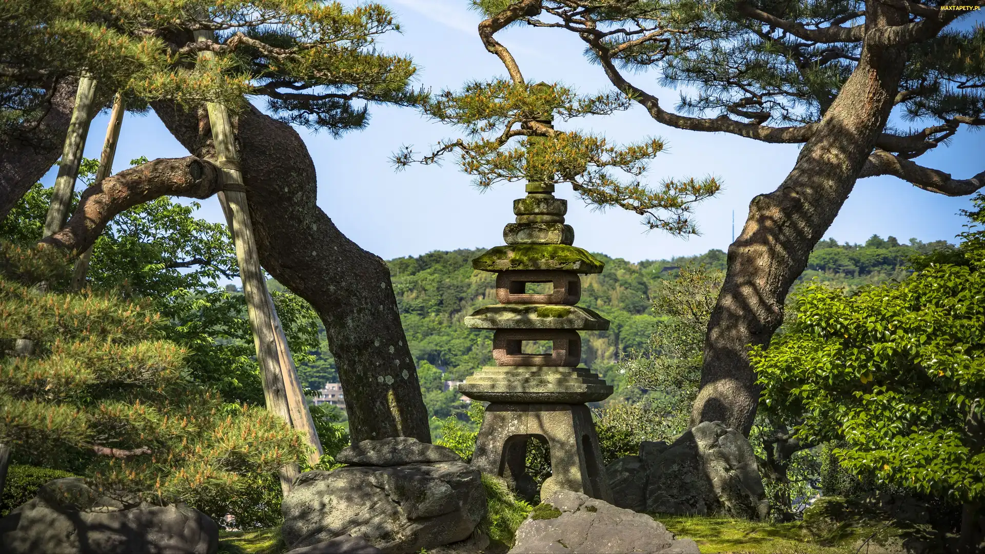 Kanazawa, Ogród Kenroku en, Sosny, Japonia, Latarnia, Drzewa, Kamienna