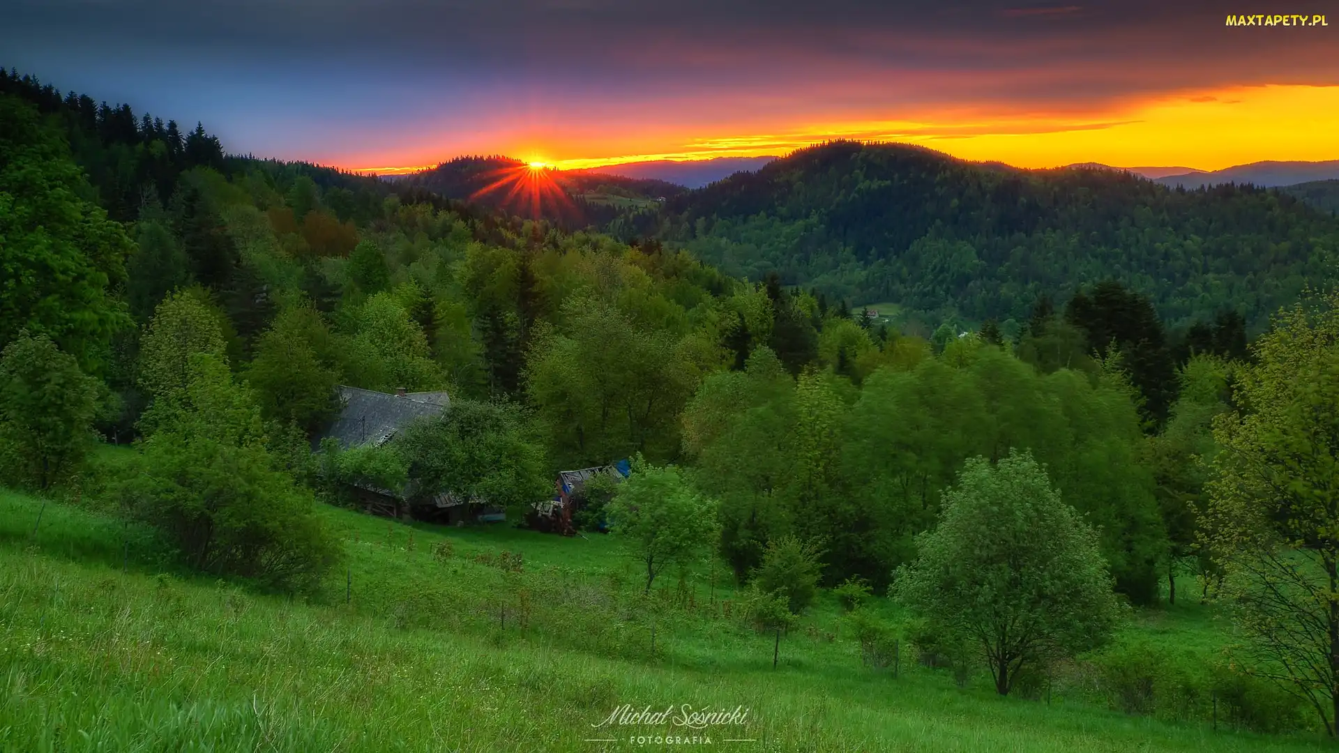 Wschód słońca, Zawoja, Góry, Polska, Beskidy, Domy, Drzewa, Wzgórza, Las