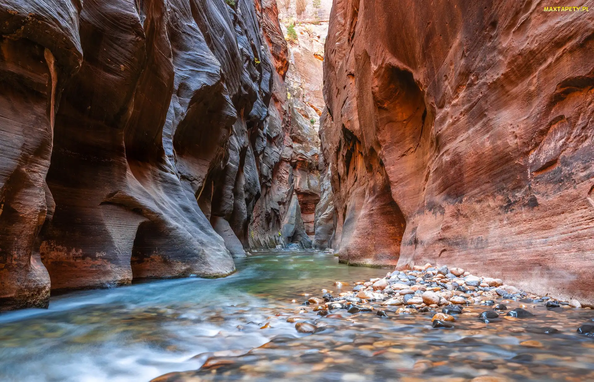 Zion Narrows, Kanion, Stany Zjednoczone, Virgin River, Park Narodowy Zion, Stan Utah, Rzeka