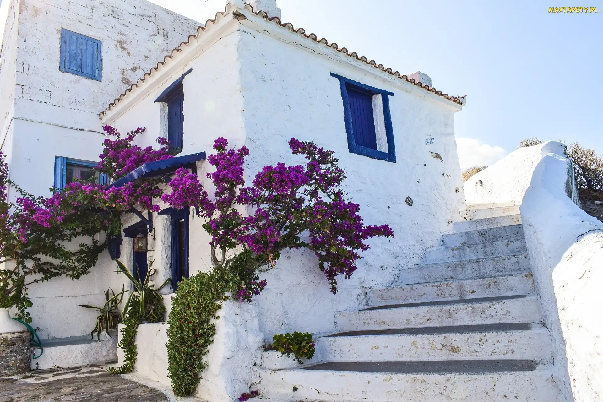 Kwiaty, Krzew, Wyspa Skopelos, Bugenwilla, Schody, Grecja, Dom