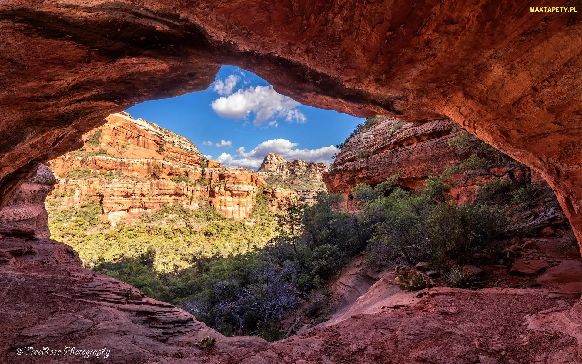 Arizona, Sedona, Skały, Stany Zjednoczone, Cathedral Rocks, Czerwone, Krzewy