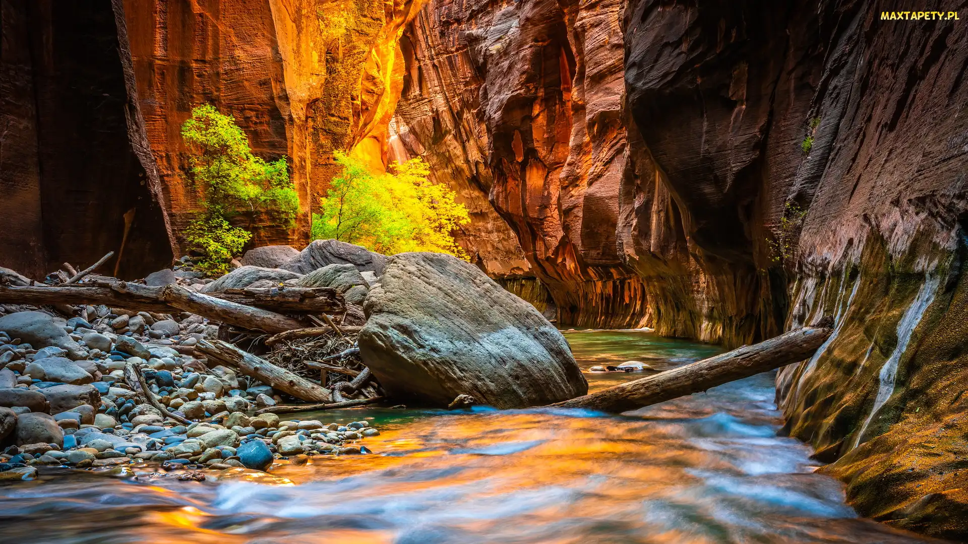 Kanion Zion Narrows, Rzeka Virgin River, Park Narodowy Zion, Kamienie, Stan Utah, Skały, Stany Zjednoczone, Drzewa