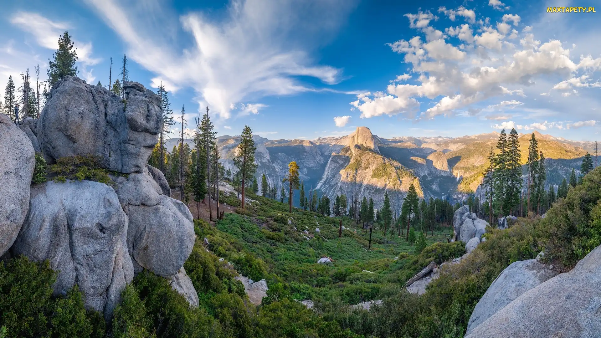 Drzewa, Skały, Punkt widokowy, Góry, Park Narodowy Yosemite, Stany Zjednoczone, Glacier Point, Kalifornia, Sierra Nevada, Dolina, Yosemite Valley