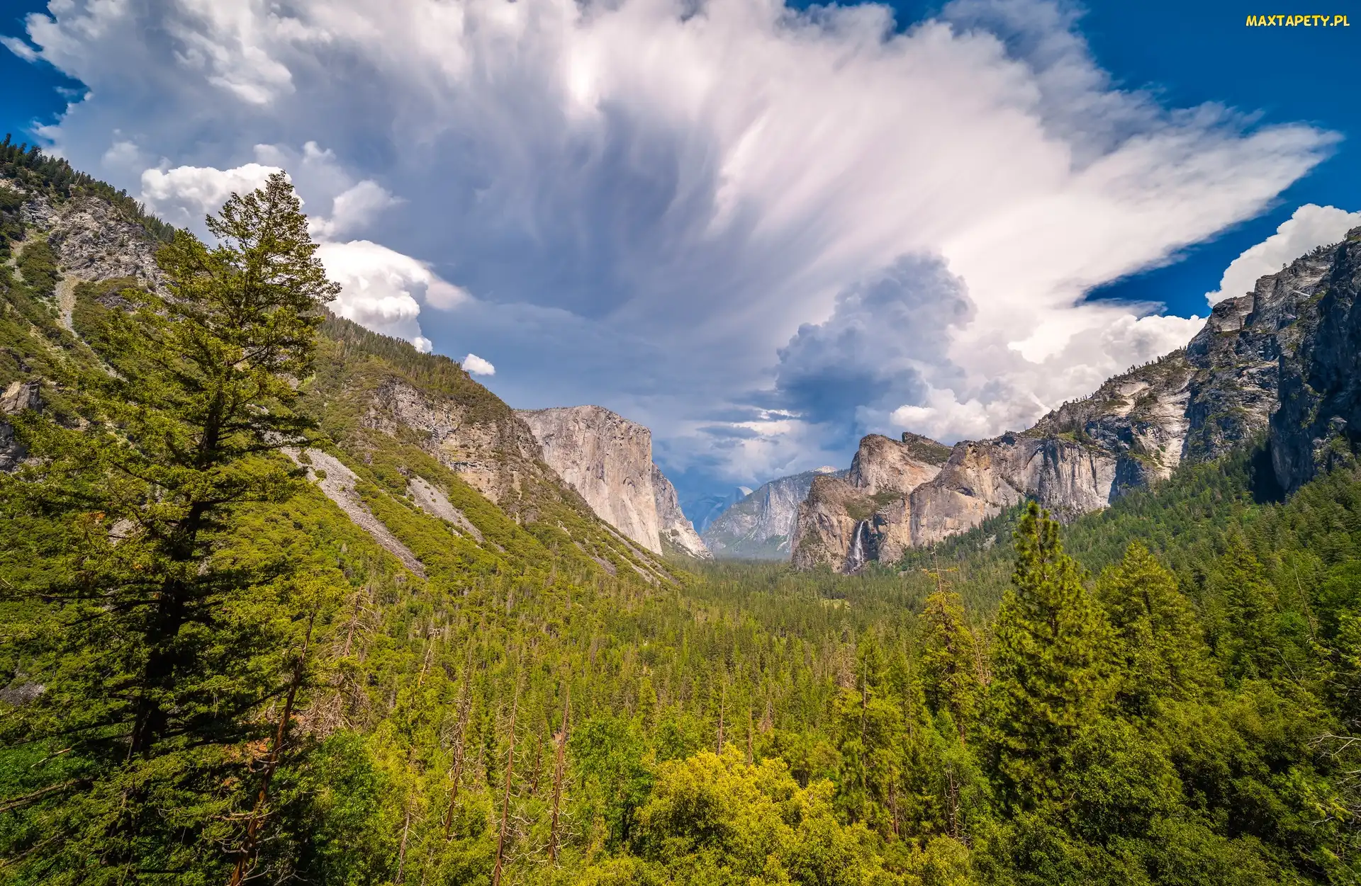 Stany Zjednoczone, Park Narodowy Yosemite, Yosemite Valley, Kalifornia, Las, Drzewa, Niebo, Chmury, Góry, Dolina