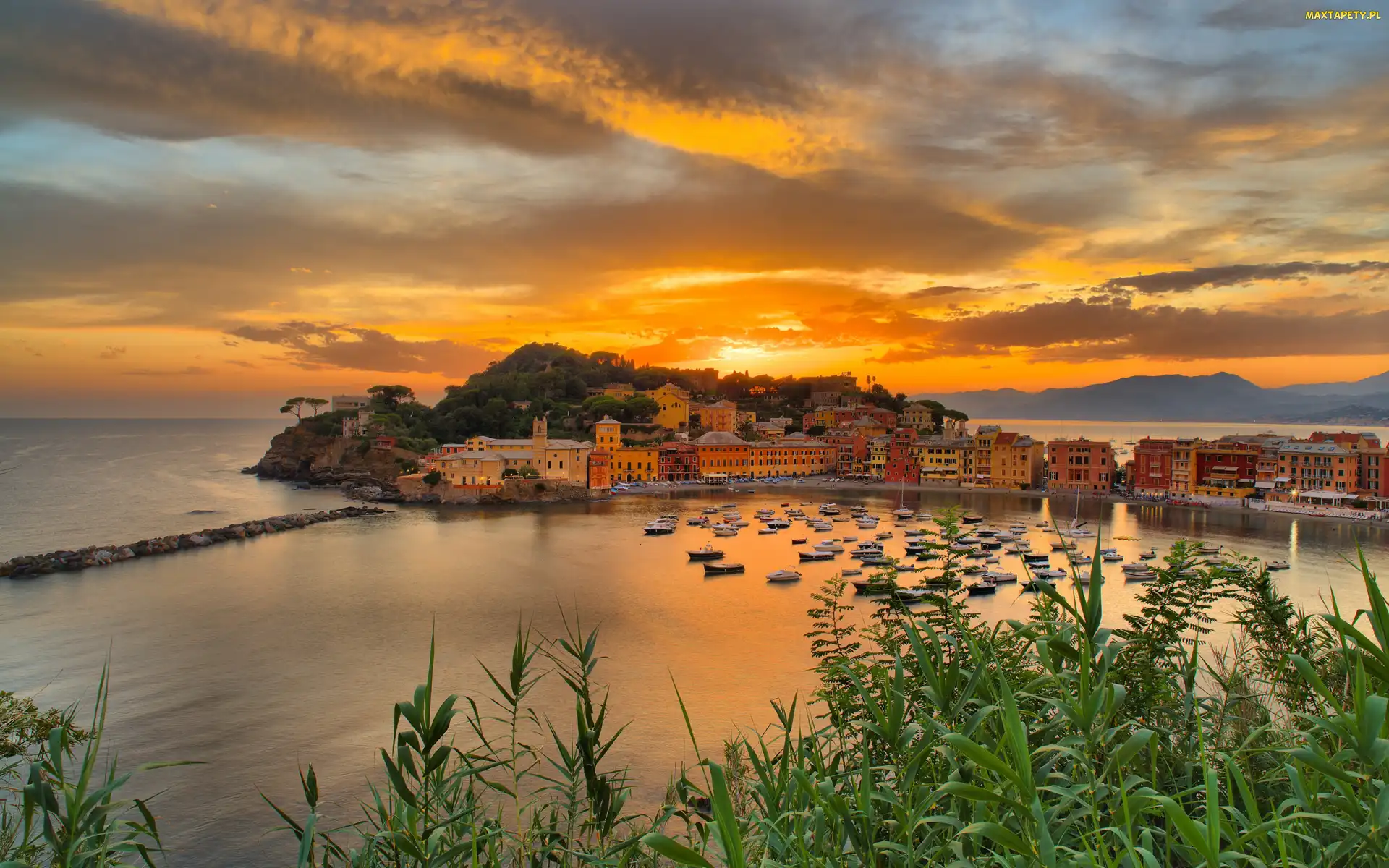 Prowincja Genua, Zatoka, Włochy, Morze, Domy, Sestri Levante, Zachód słońca, Łódki