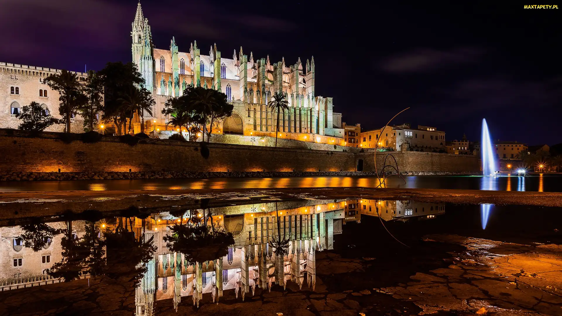 Katedra La Seu, Odbicie, Oświetlona, Noc, Majorka, Kościół, Hiszpania, Palma de Mallorca