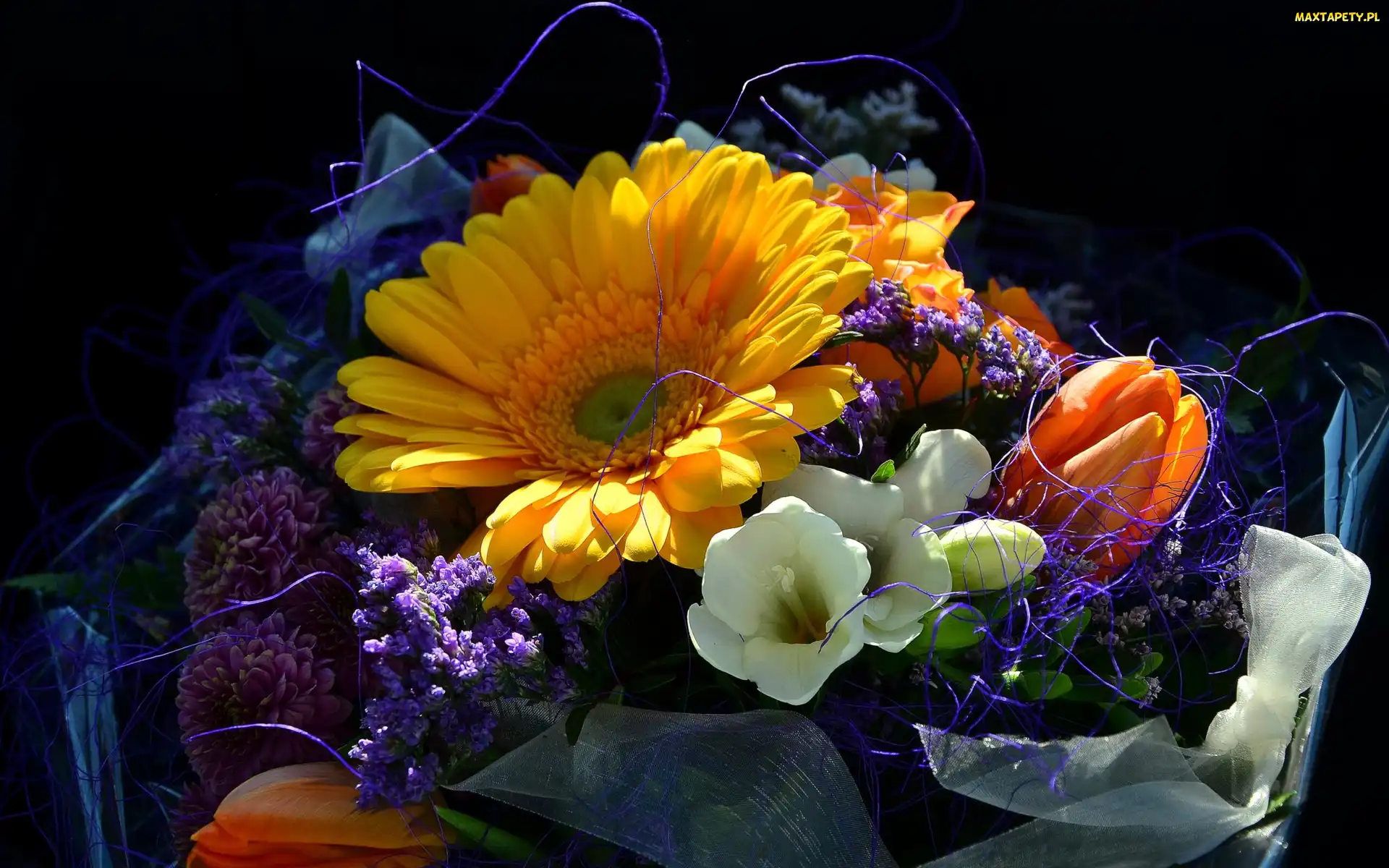 Bukiet, Frezja, Gerbera, Tulipan, Kwiaty