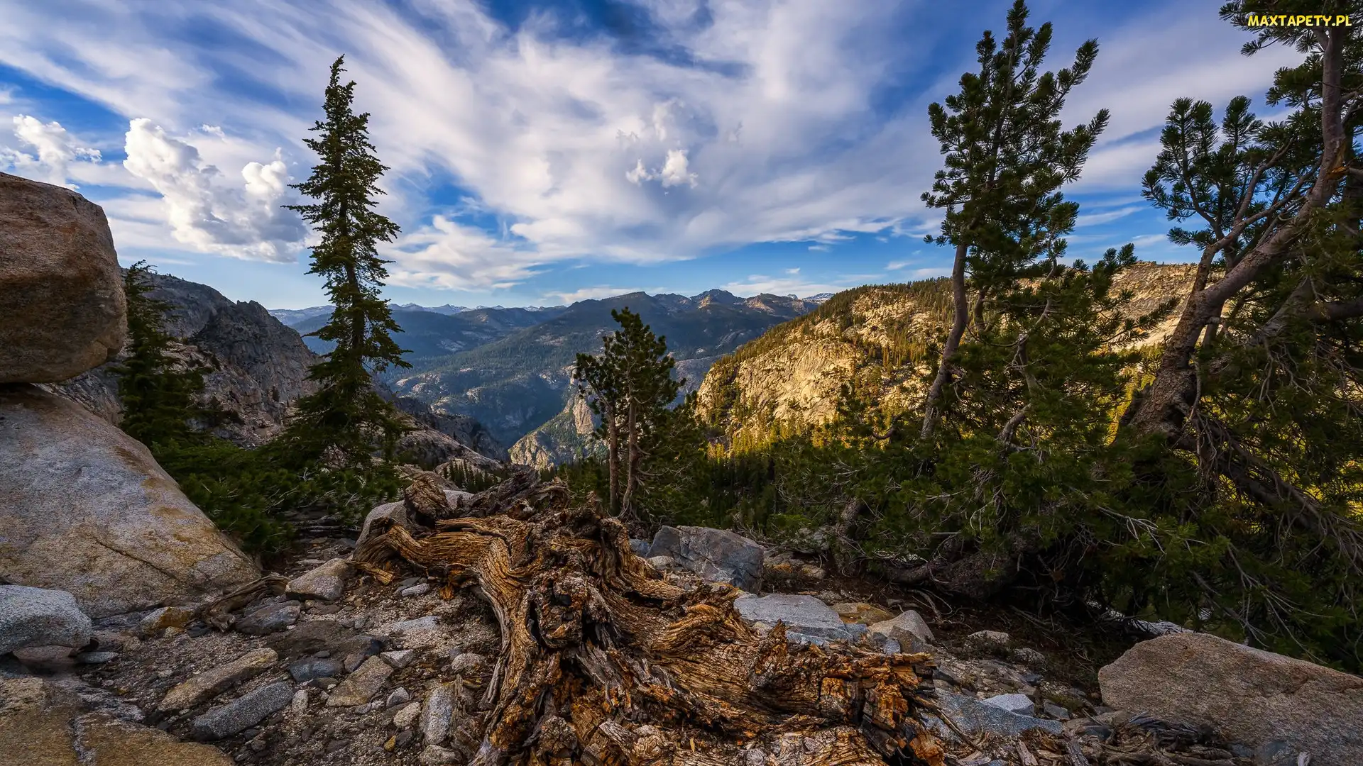 Góry, Kalifornia, Sosny, Stany Zjednoczone, Park Narodowy Yosemite, Drzewa, Skały, Spróchniały, Pień